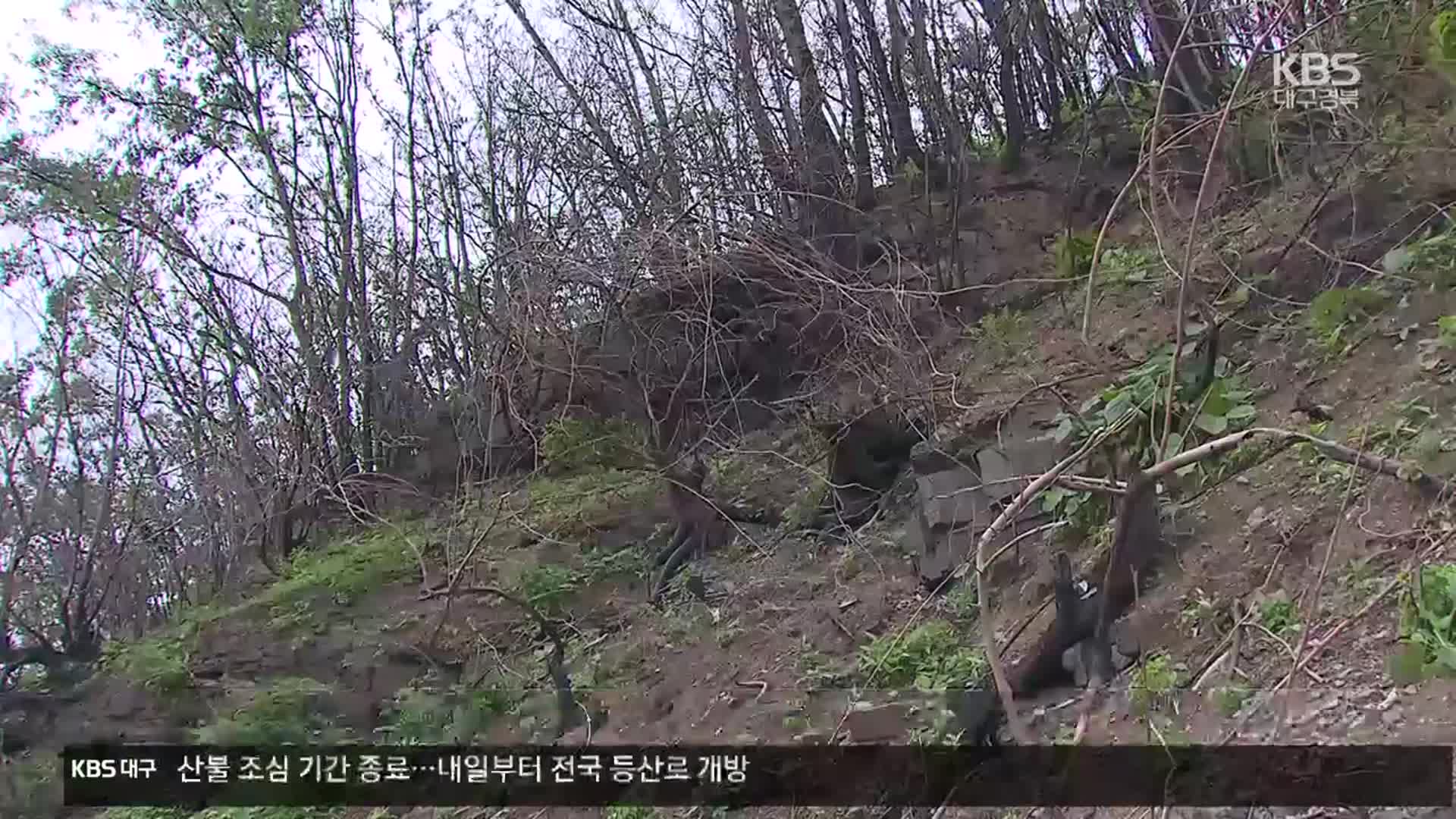 ‘산사태 위험 13%p 증가’…“산불 피해 철저 대비”