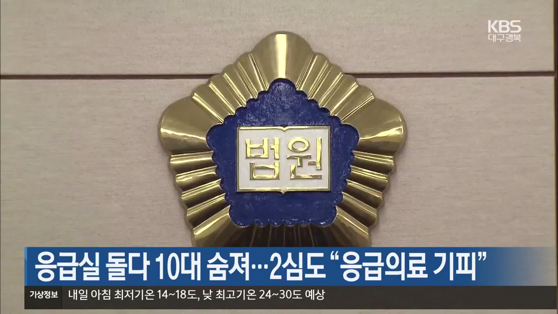 응급실 돌다 10대 숨져…2심도 “응급의료 기피”