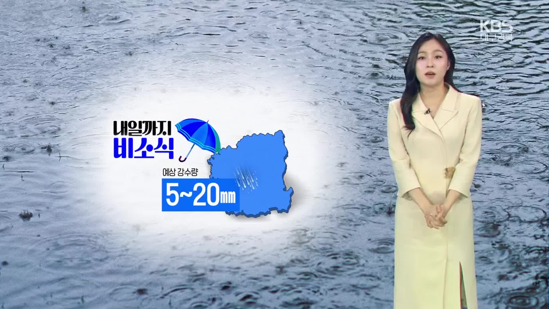 [날씨] 대구·경북 내일 기온 뚝↓…오후까지 5~20mm 비