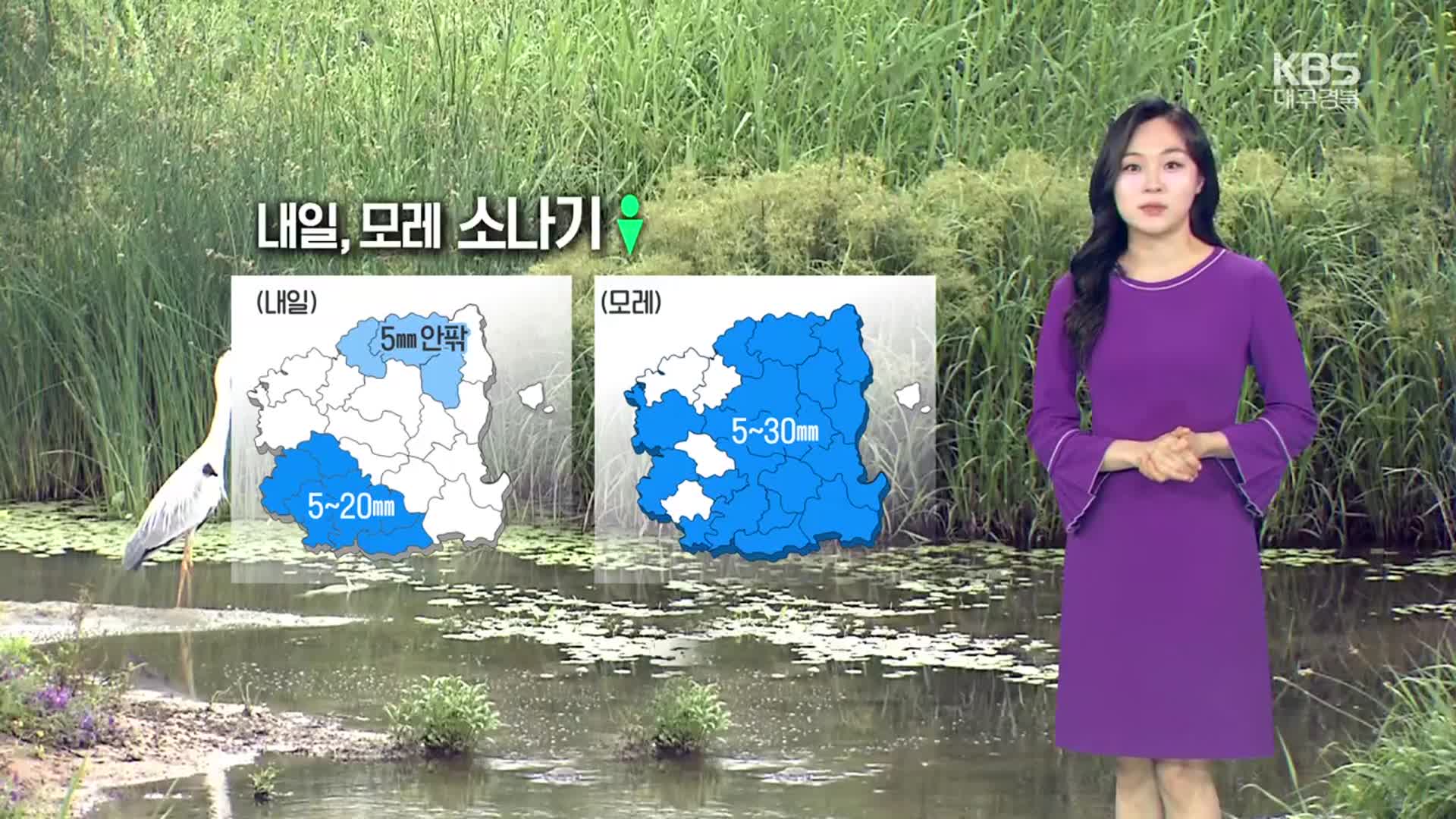 [날씨] 대구·경북 내일, 모레 소나기…내륙중심 일교차 주의
