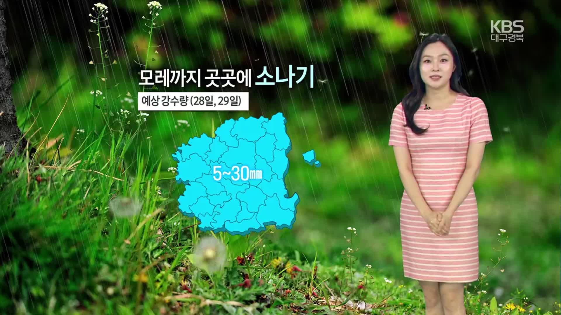 [날씨] 대구·경북 모레까지 곳곳에 소나기…한낮 자외선 주의