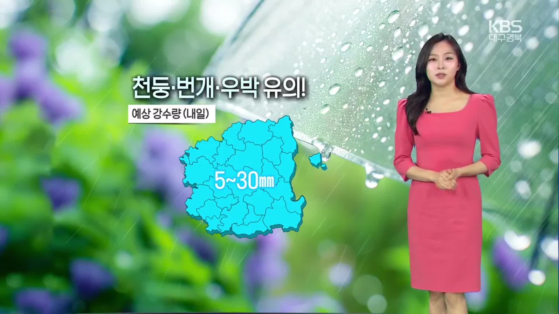 [날씨] 대구·경북 내일도 돌풍·벼락 동반 소나기…내륙 중심 우박 ‘주의’
