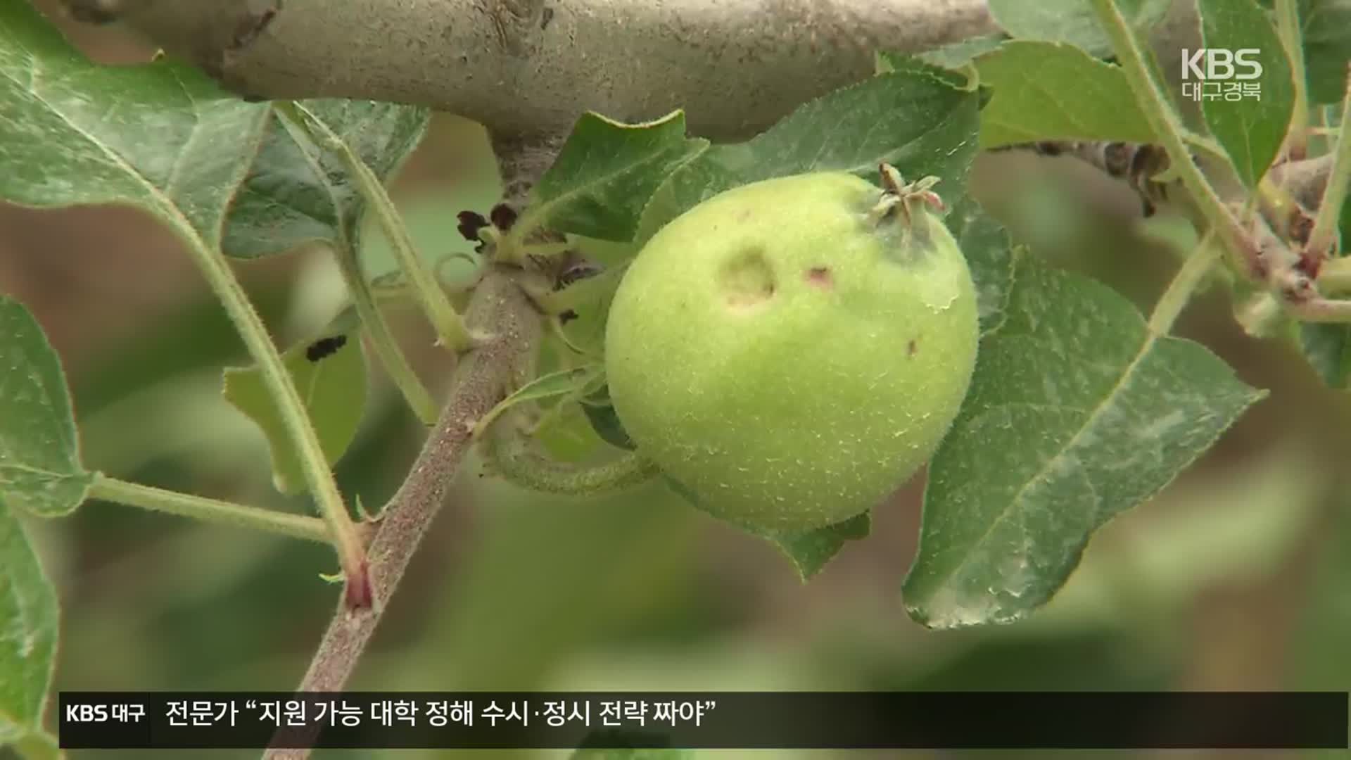 “하늘도 무심해”…산불 피해에 우박까지
