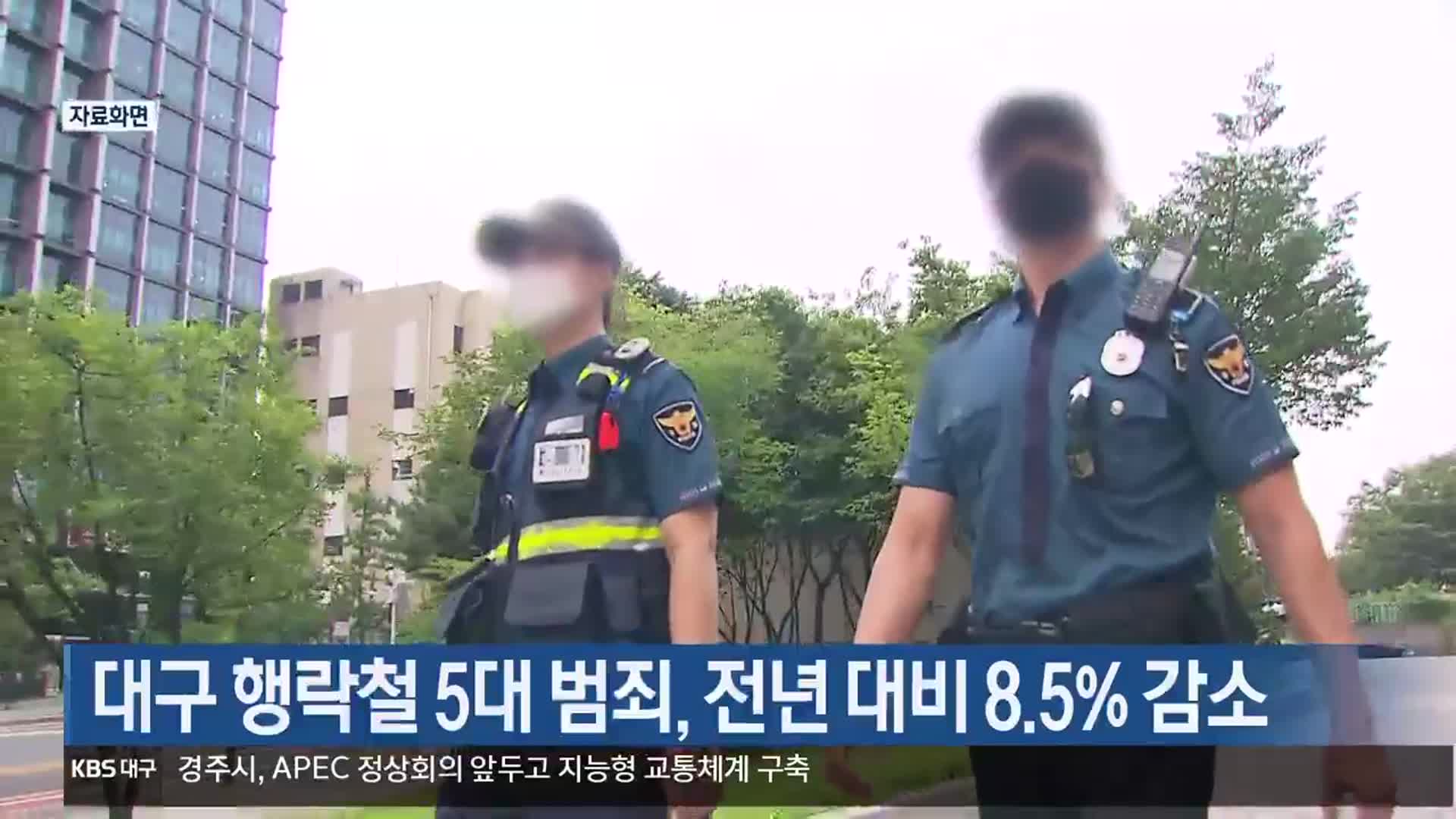 대구 행락철 5대 범죄, 전년 대비 8.5% 감소