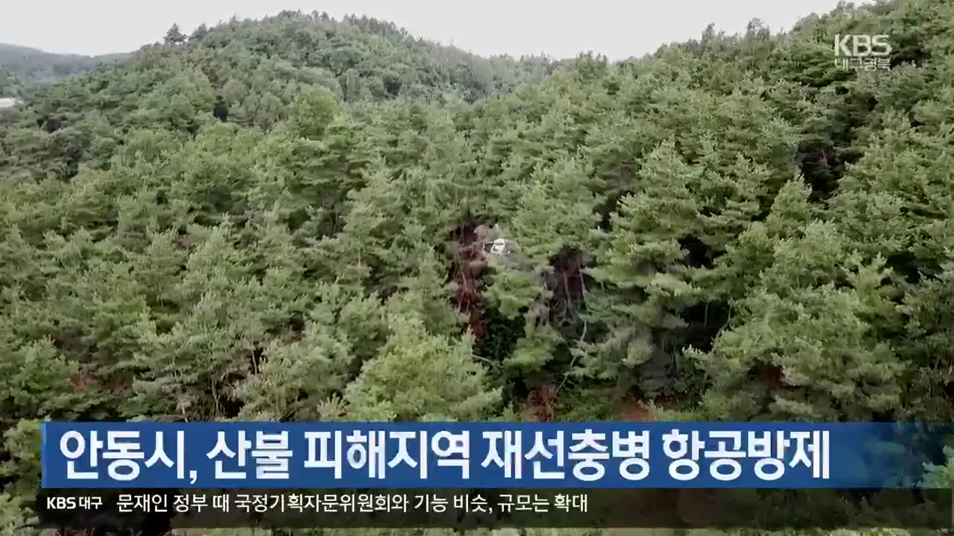 [여기는 안동] 안동시, 산불 피해지역 재선충병 항공방제 외