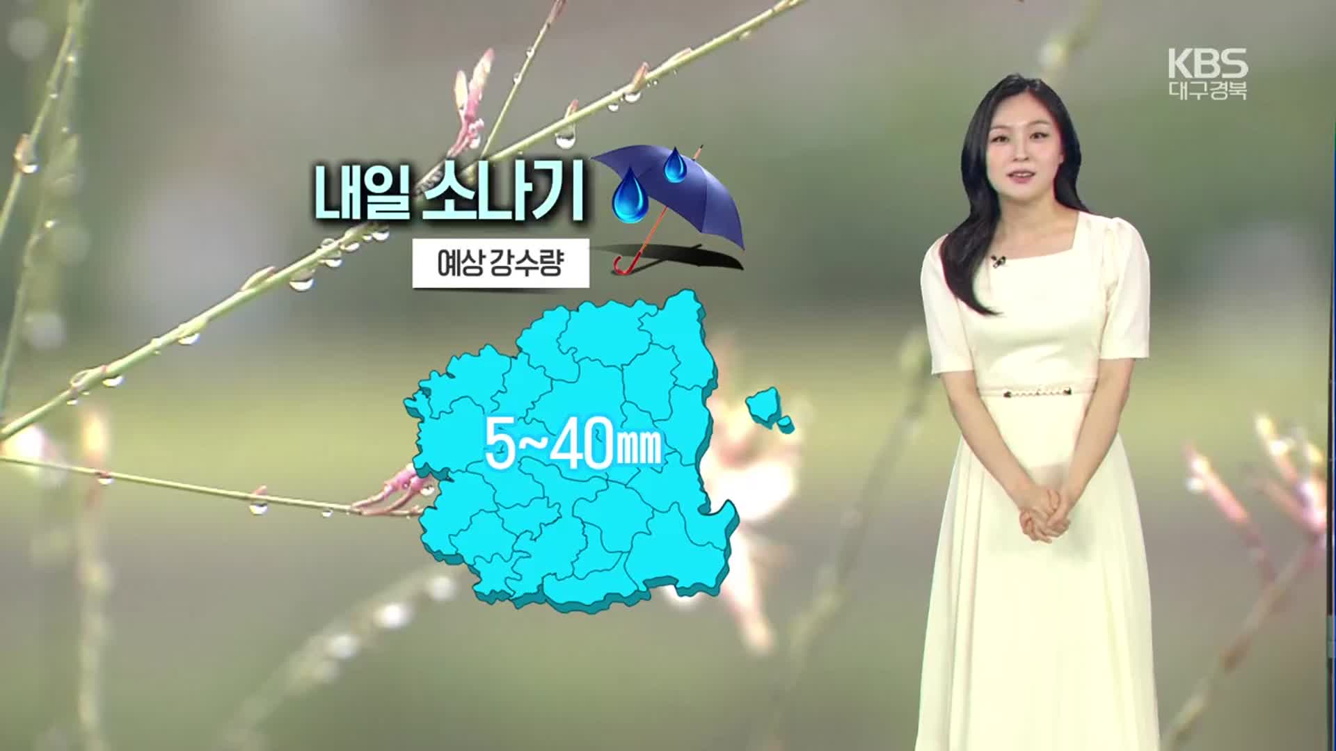[날씨] 대구·경북 내일 5~40mm 소나기…한낮 후텁지근