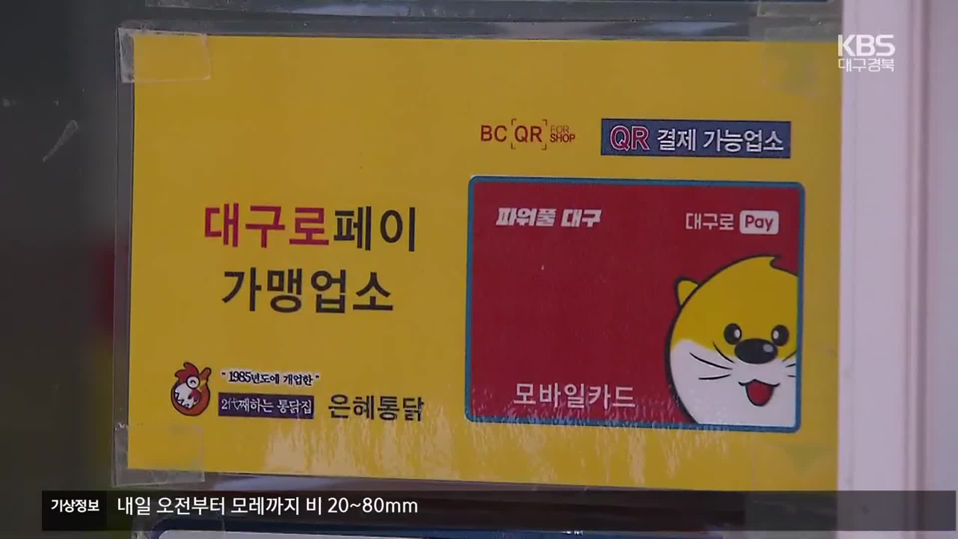 지역화폐 추경에 반영…대구로페이 확대 기대