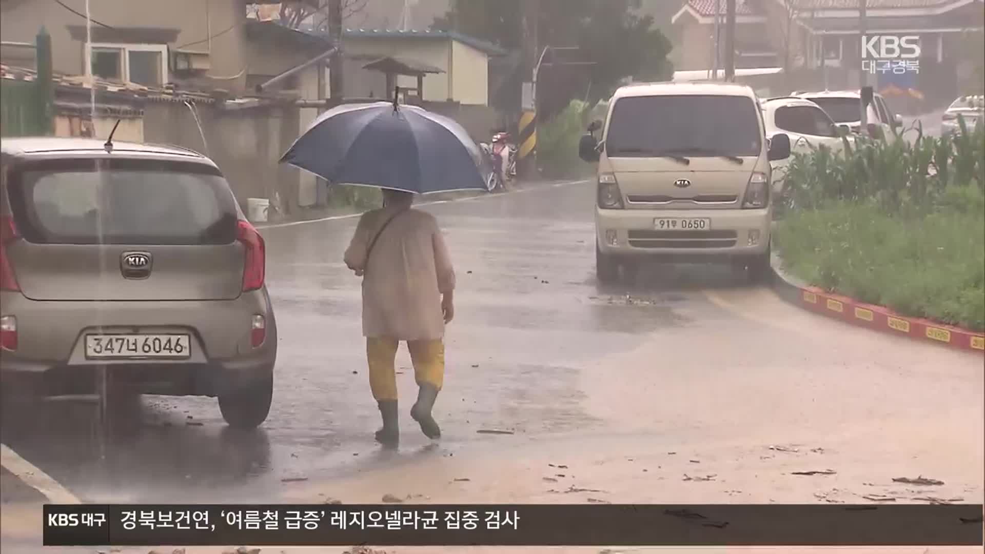 “국지성 돌발 폭우”…올해 장마철 전망은?