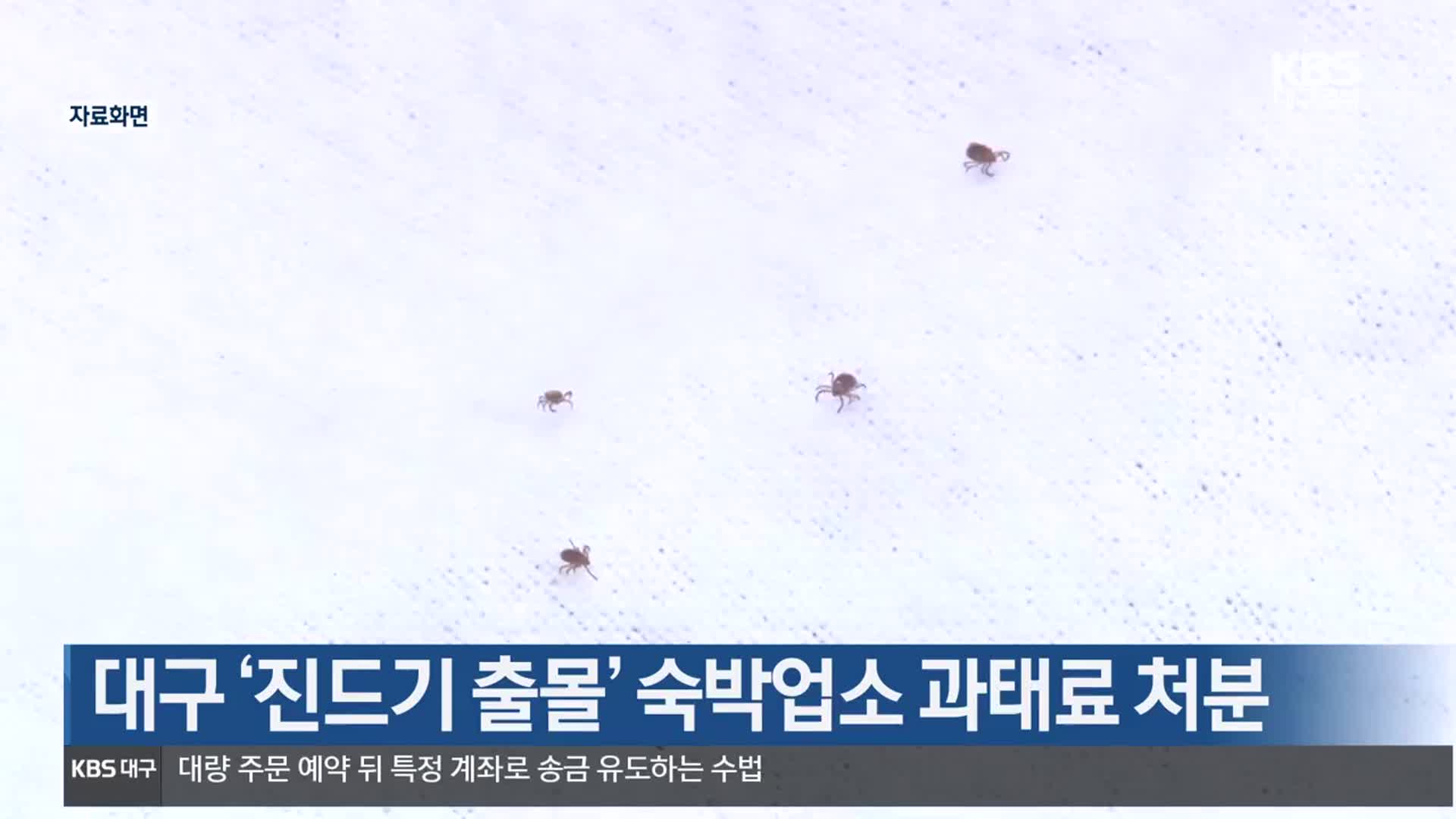 대구 ‘진드기 출몰’ 숙박업소 과태료 처분