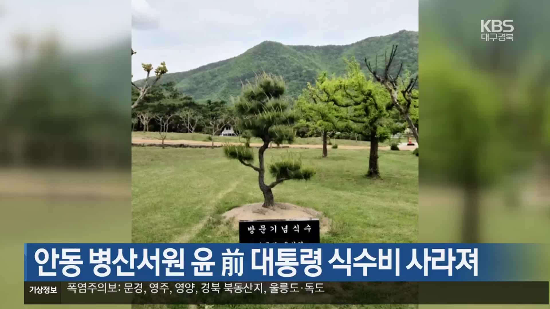 [여기는 안동] 안동 병산서원 윤 前 대통령 식수비 사라져 외