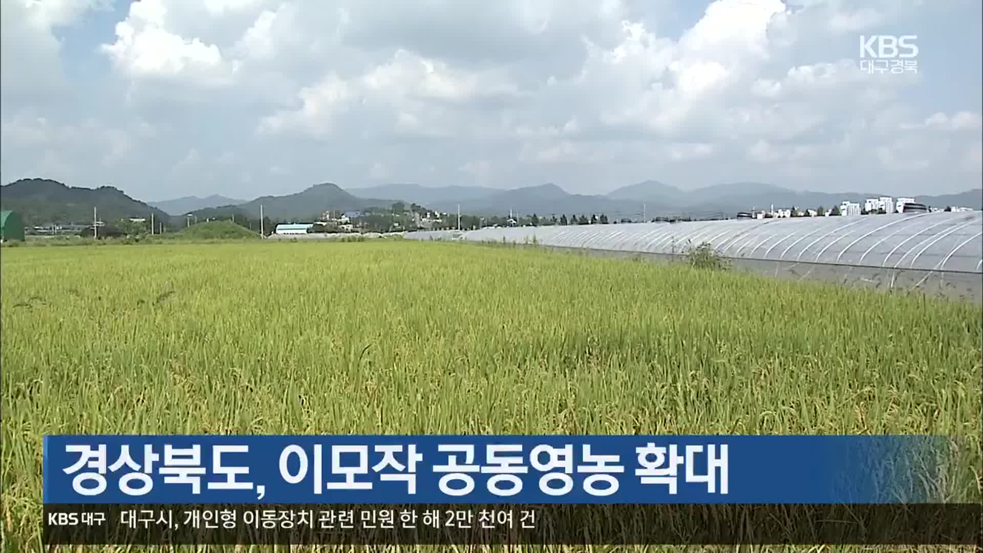 경상북도, 이모작 공동영농 확대