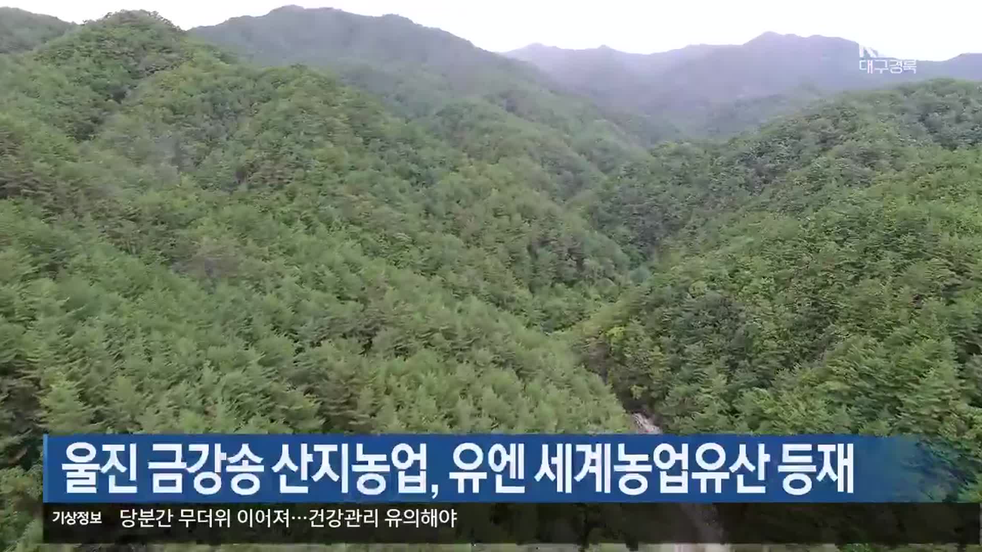 울진 금강송 산지농업, 유엔 세계농업유산 등재