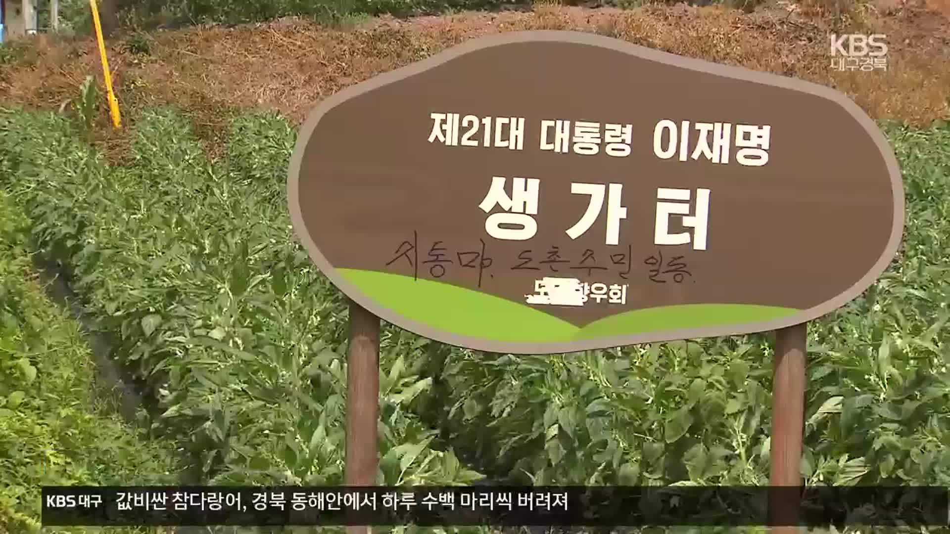 이재명 생가터 연일 북적…안동시 ‘관광지 연계’