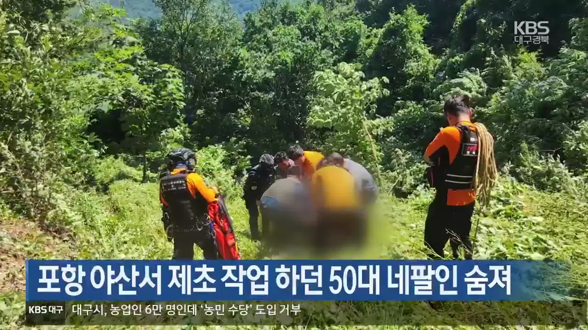 포항 야산서 제초 작업 하던 50대 네팔인 숨져