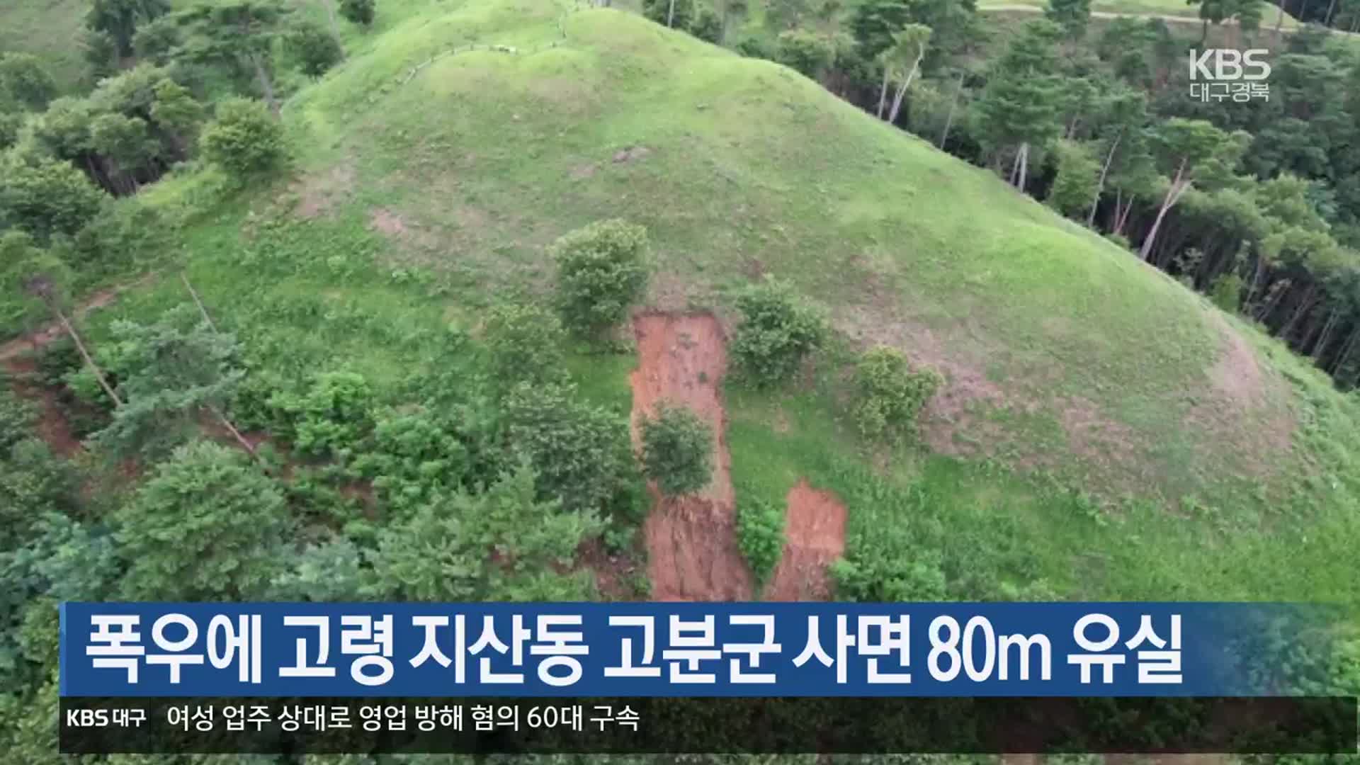 폭우에 고령 지산동 고분군 사면 80m 유실