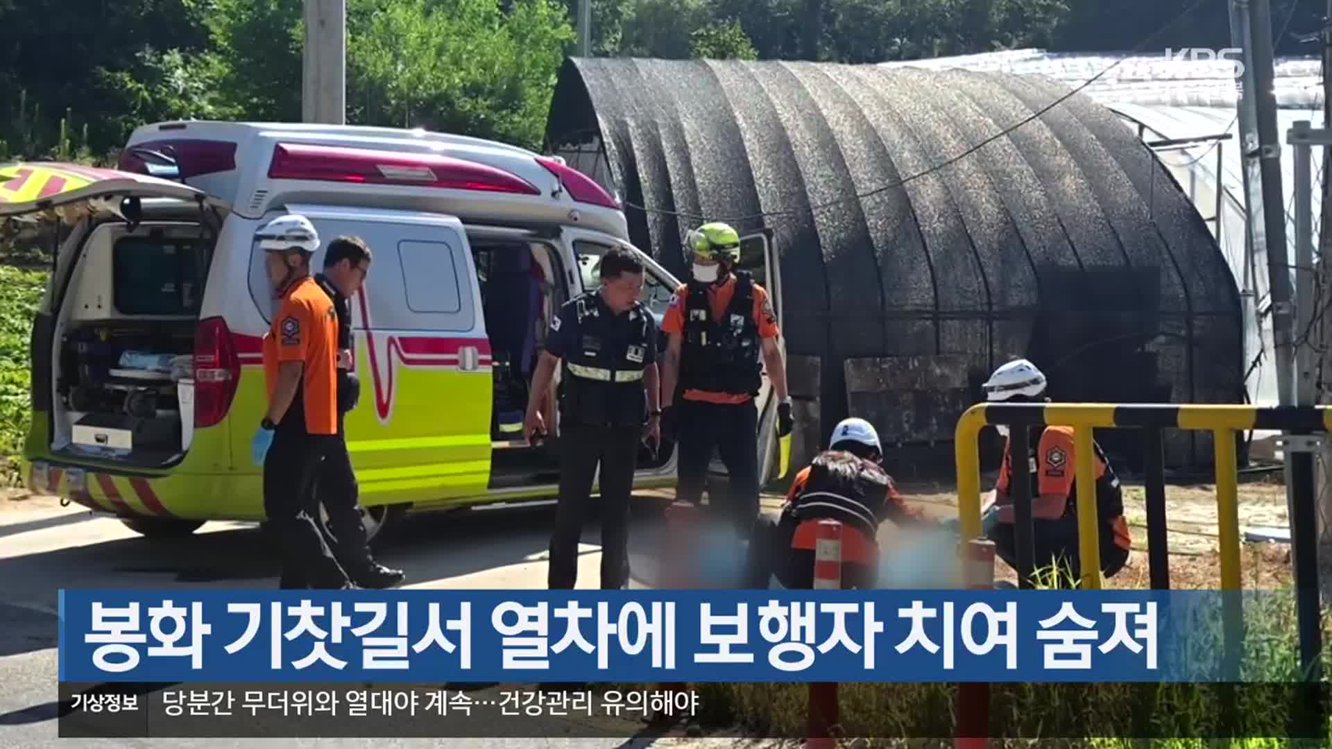 봉화 기찻길서 열차에 보행자 치여 숨져