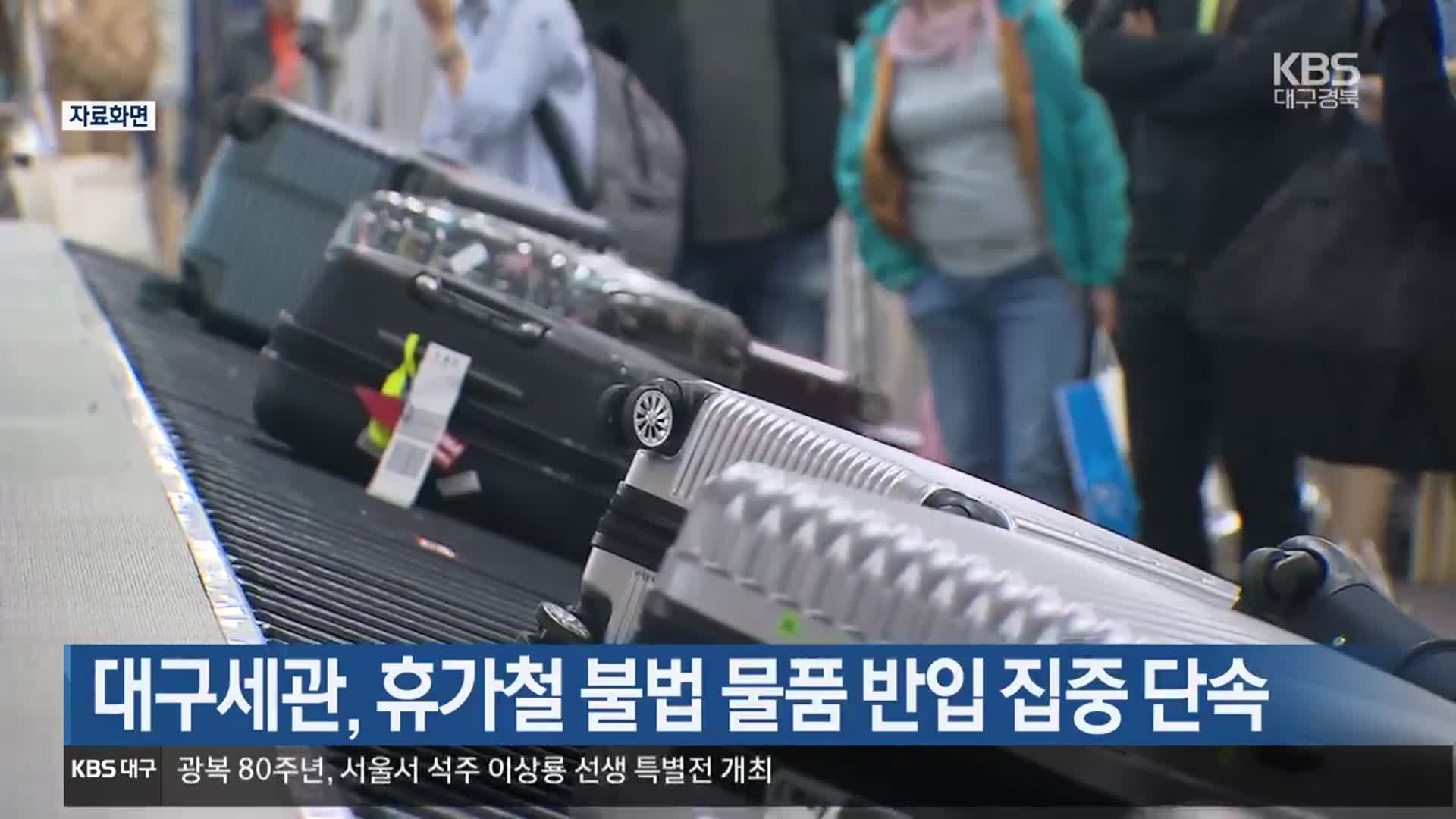 대구세관, 휴가철 불법 물품 반입 집중 단속