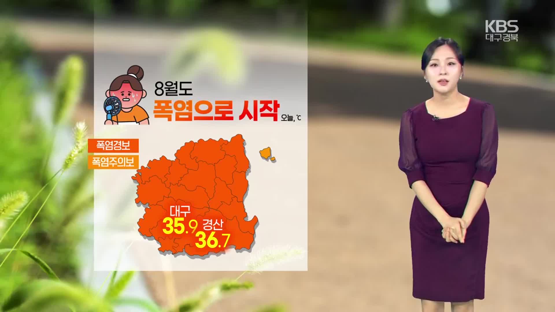 [날씨] 대구·경북 8월도 폭염으로 시작…자외선 지수 매우 높아