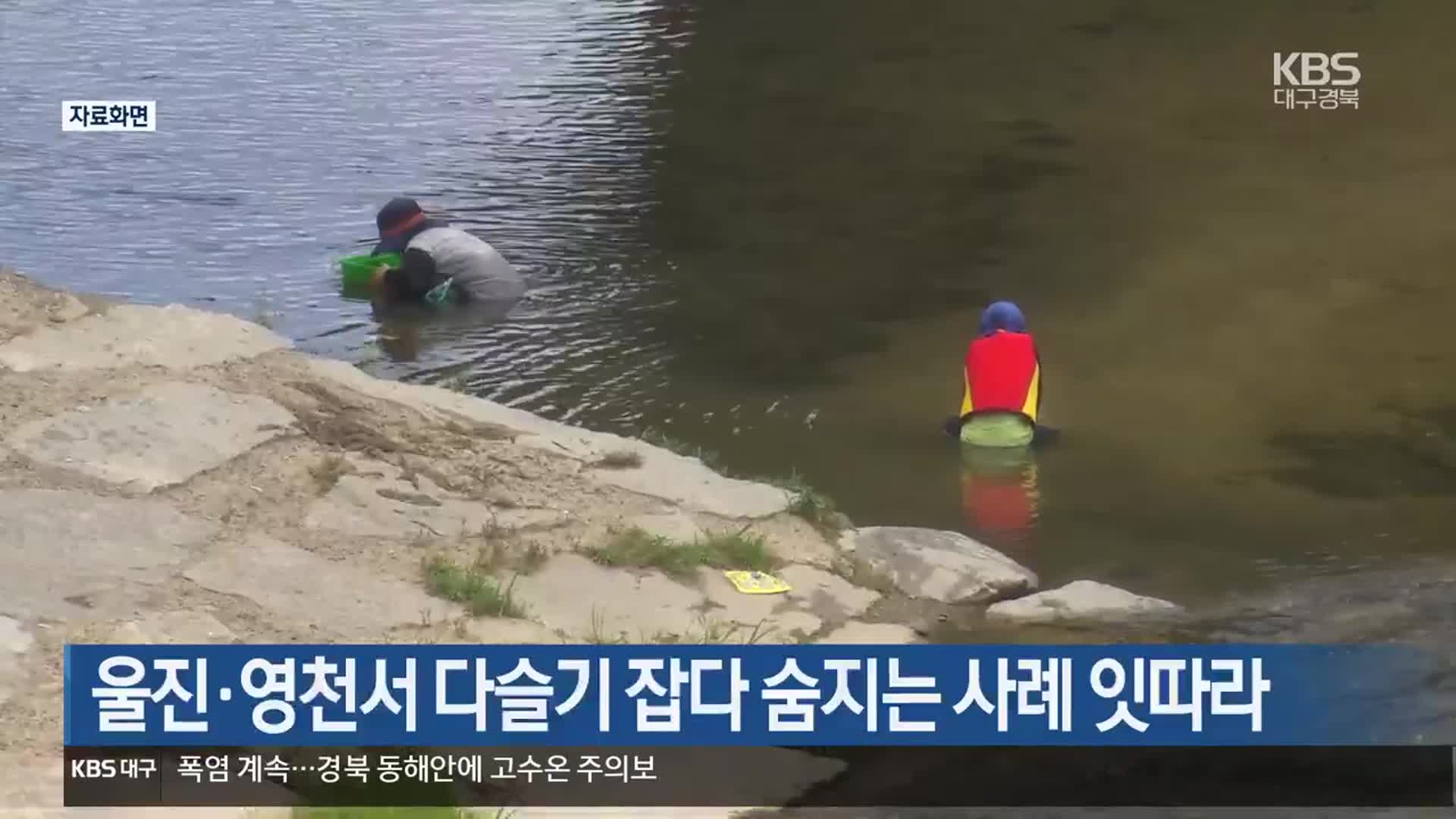 울진·영천서 다슬기 잡다 숨지는 사례 잇따라