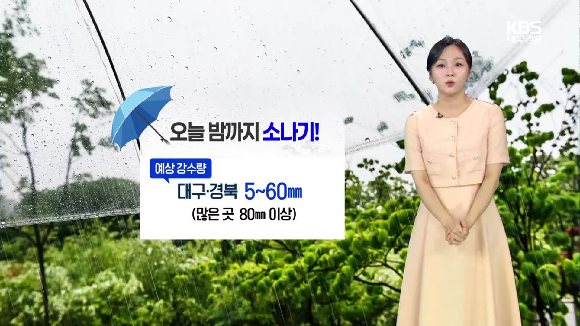 [날씨] 대구·경북 밤까지 곳곳 소나기…내일 최대 80mm 많은 비