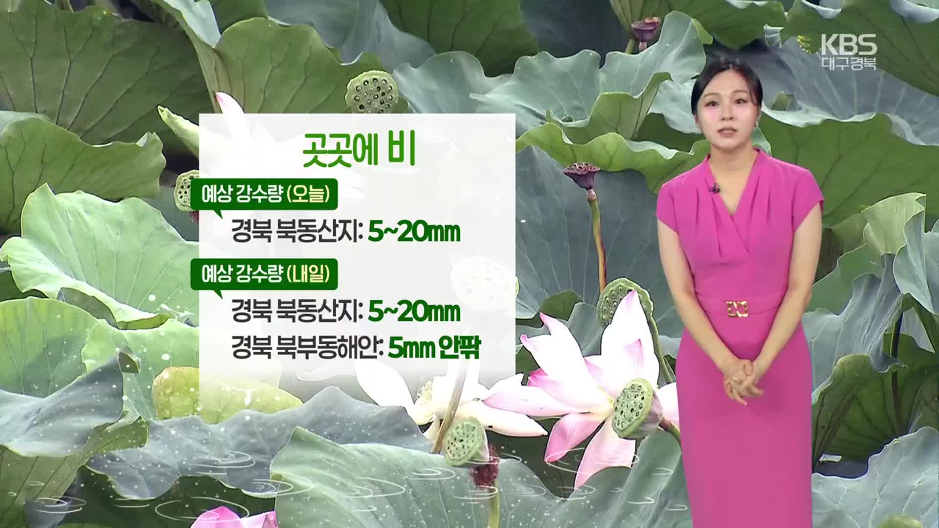 [날씨] 대구·경북 곳곳 밤사이 비…내일 오후 소나기