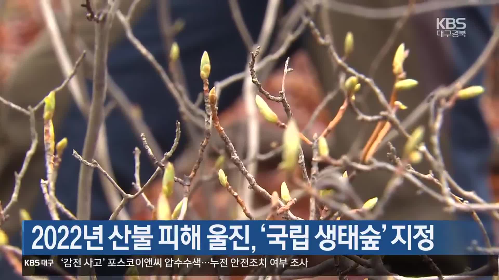 [여기는 포항] 2022년 산불 피해 울진, ‘국립 생태숲’ 지정 외