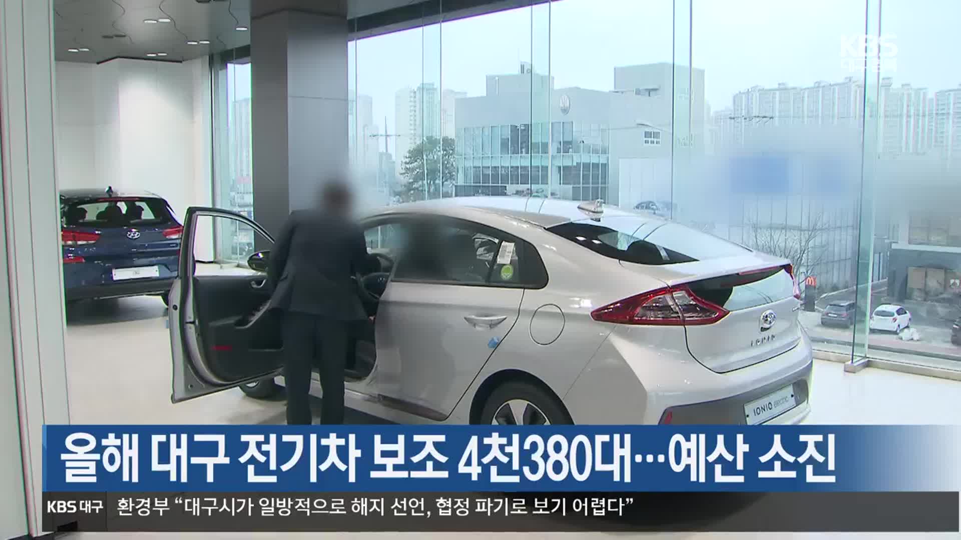 올해 대구 전기차 보조 4천380대…예산 소진