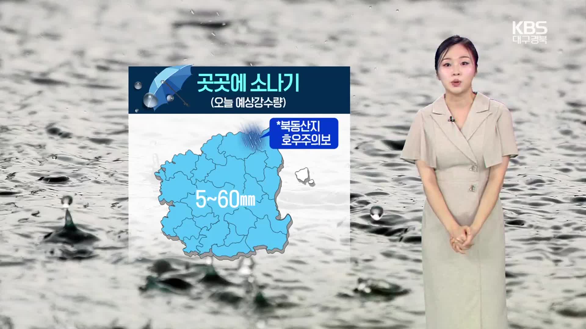 [날씨] 대구·경북 저녁까지 소나기…내일 대구 낮 최고 36도
