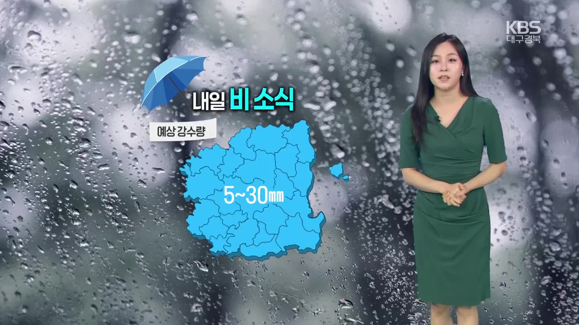 [날씨] 대구·경북 대부분 내일 저녁까지 비…더위 계속