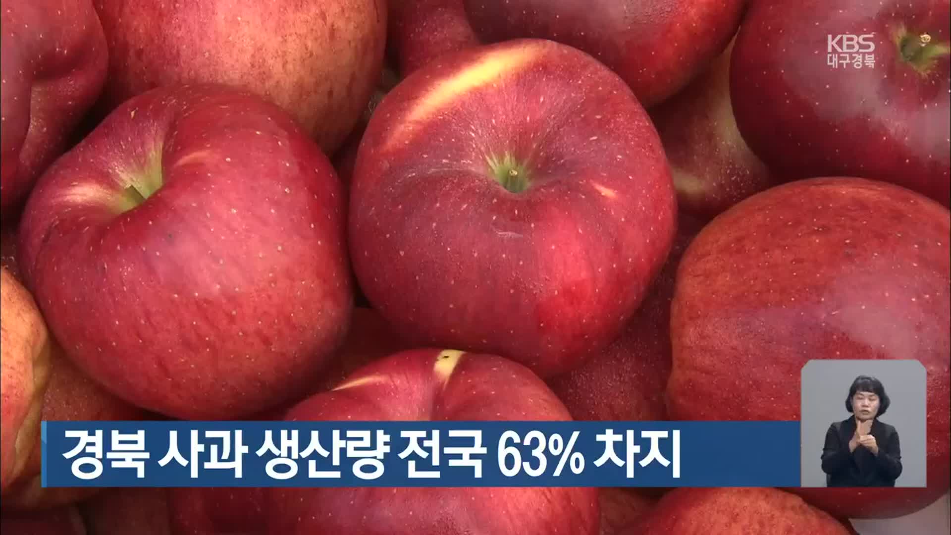 경북 사과 생산량 전국 63% 차지