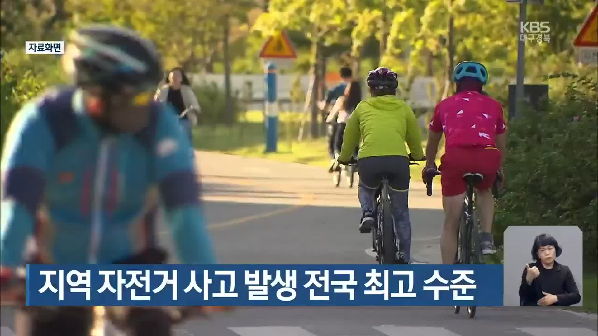 개 자전거 사고