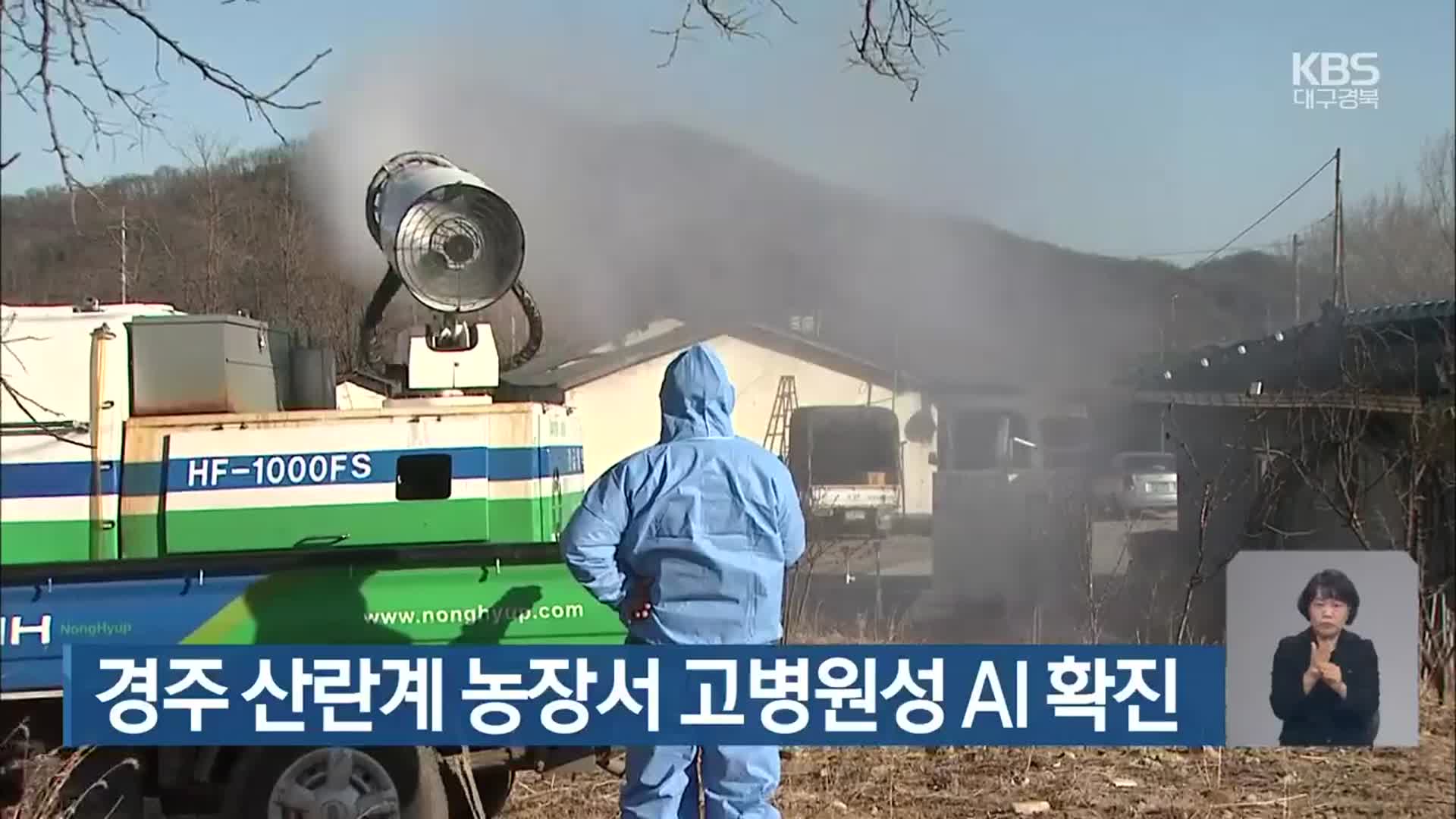 경주 산란계 농장서 고병원성 AI 확진