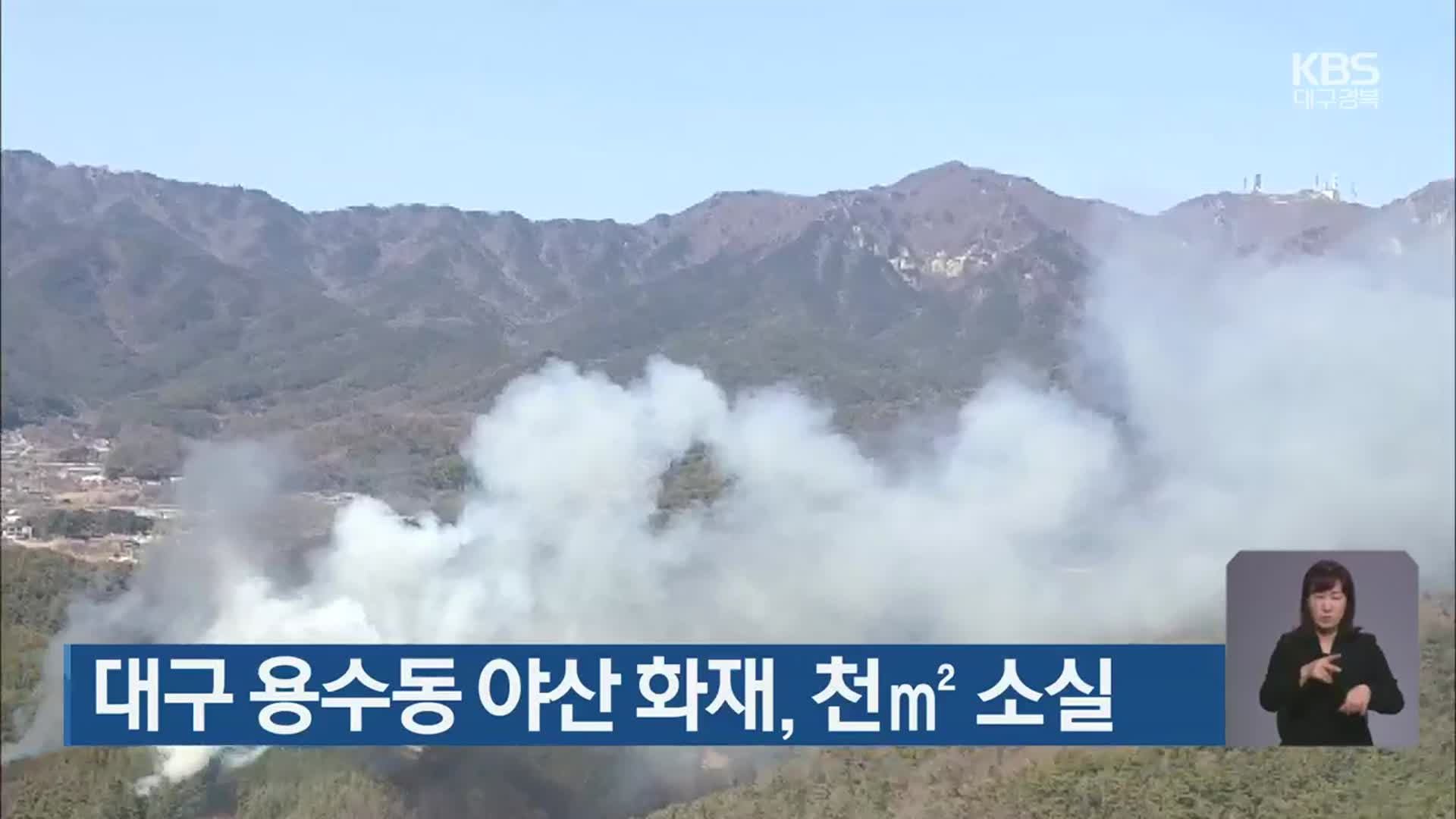 대구 용수동 야산 화재, 천㎡ 소실