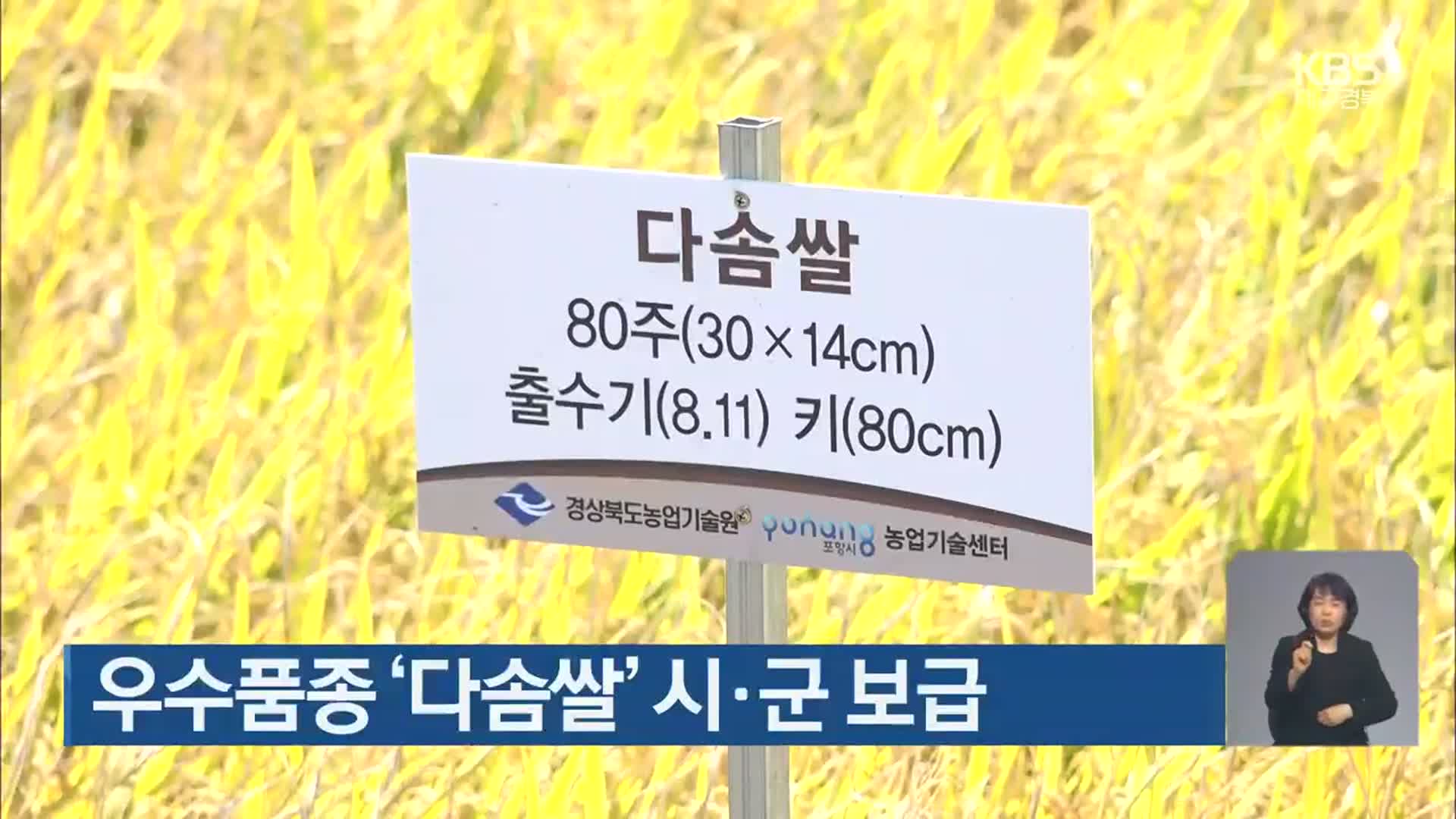 우수품종 ‘다솜쌀’ 시·군 보급