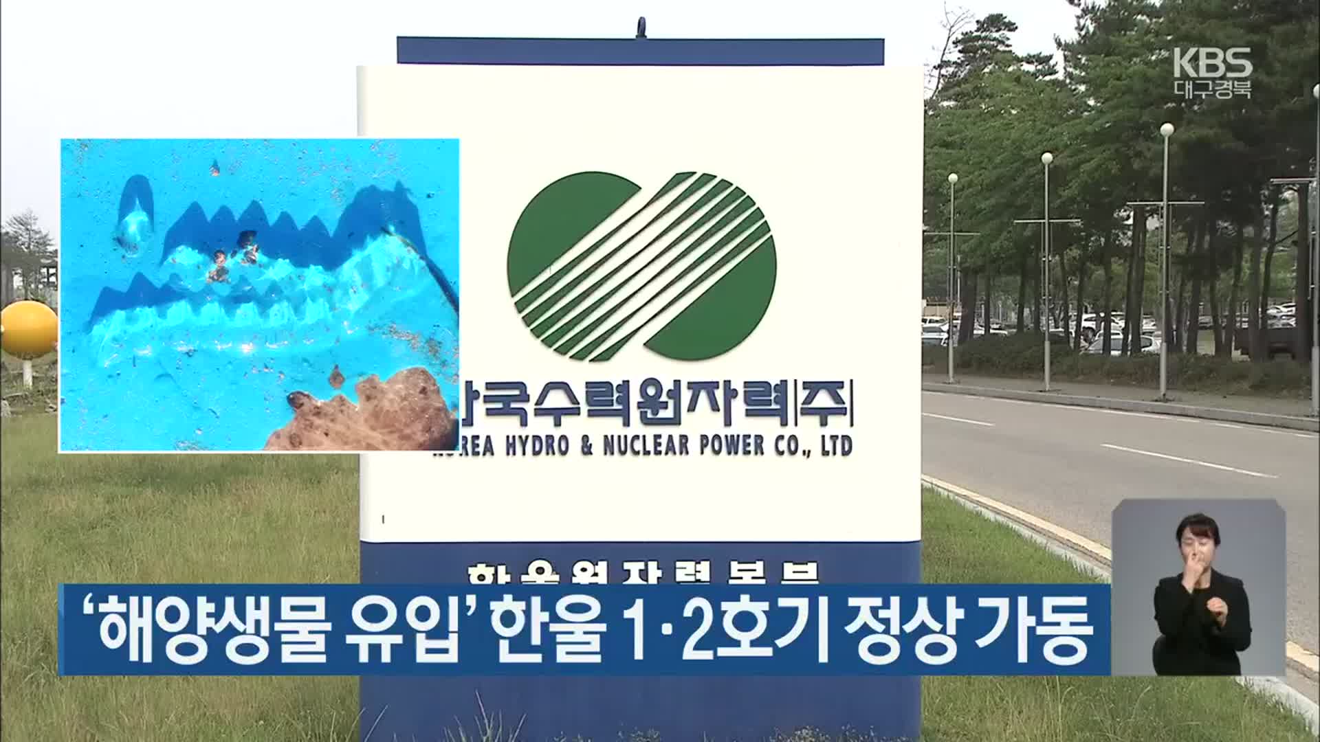 ‘해양생물 유입’ 한울 1·2호기 정상 가동