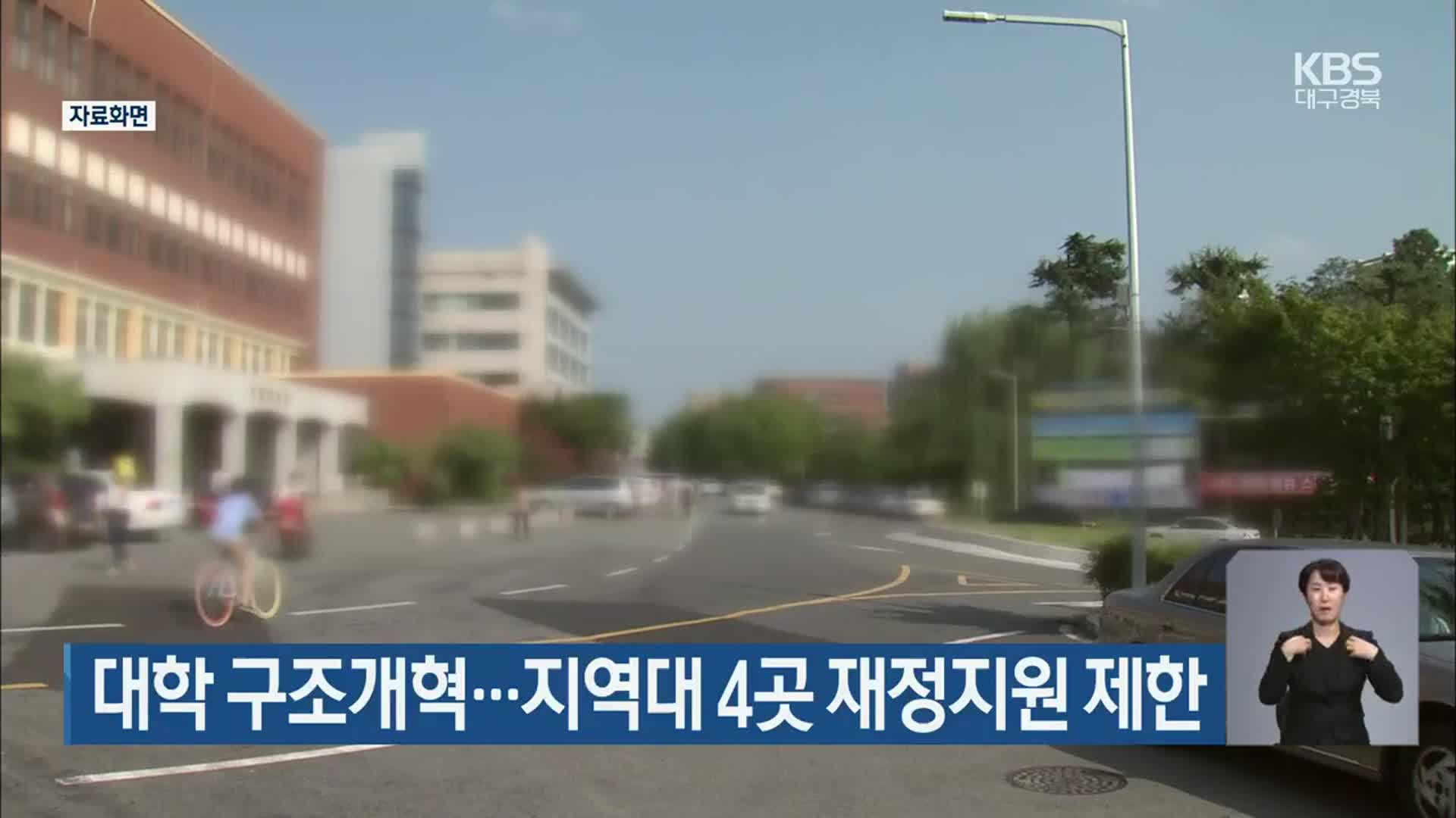 대학 구조개혁…지역대 4곳 재정지원 제한