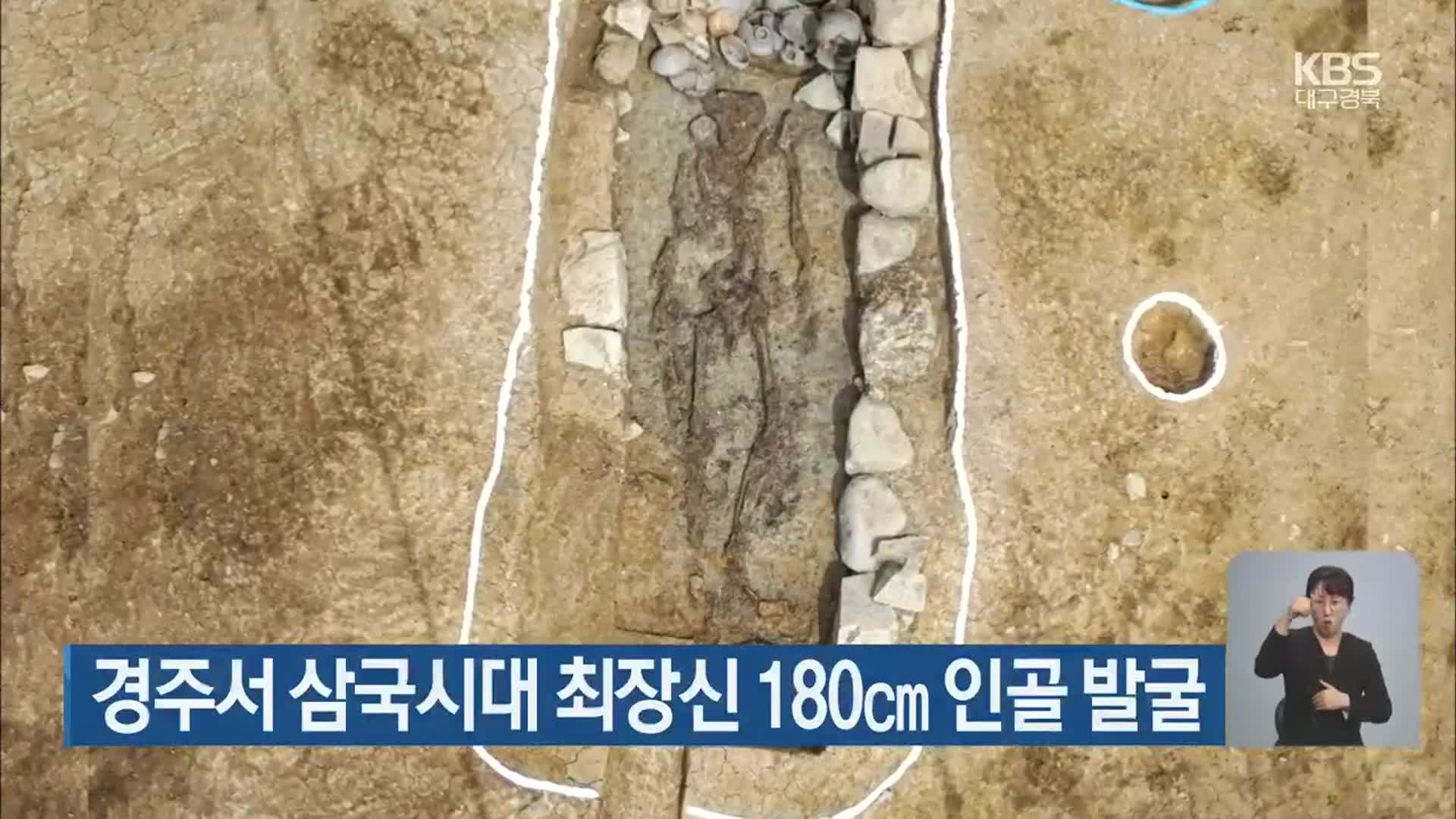 경주서 삼국시대 최장신 180cm 인골 발굴