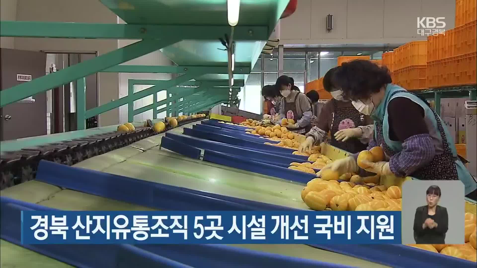 경북 산지유통조직 5곳 시설 개선 국비 지원