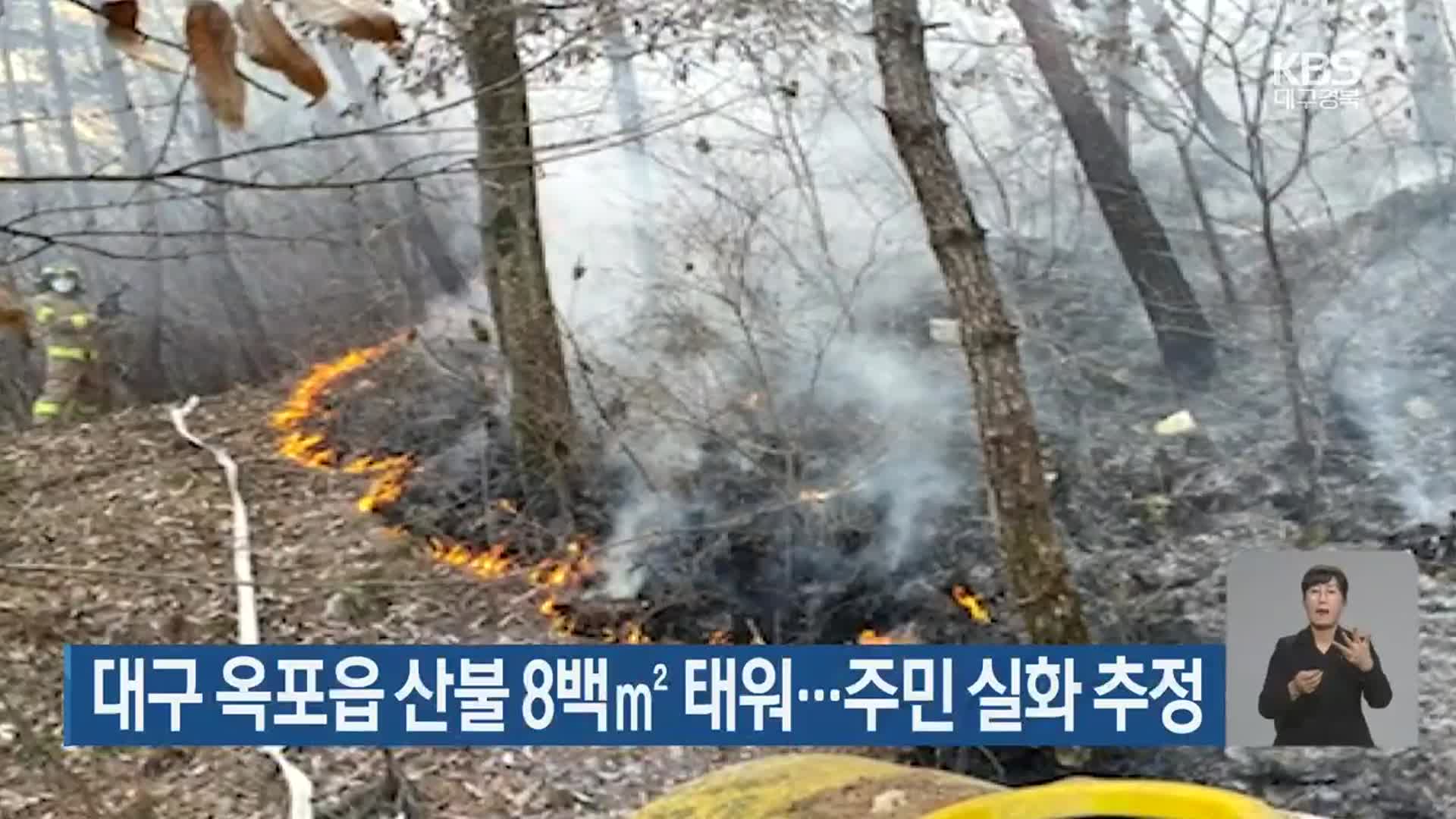 대구 옥포읍 산불 8백㎡ 태워…주민 실화 추정
