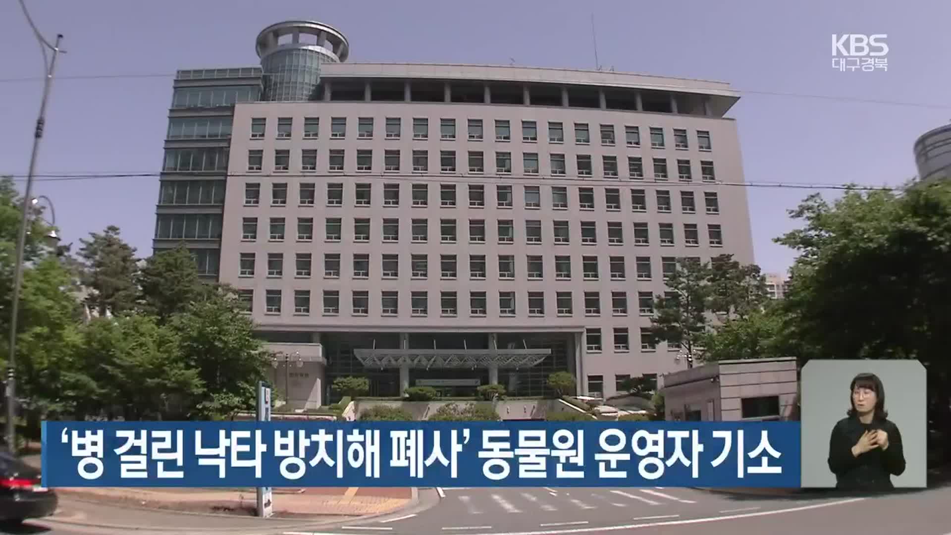 ‘병 걸린 낙타 방치해 폐사’ 동물원 운영자 기소