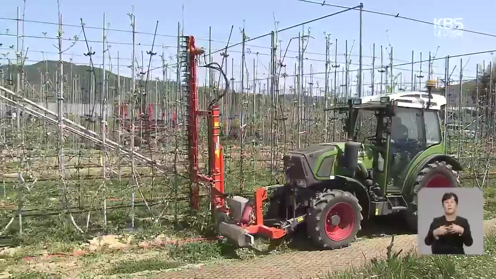 “사과 가지치기·꽃따기 4시간이면 끝”…자동화 기술 도입