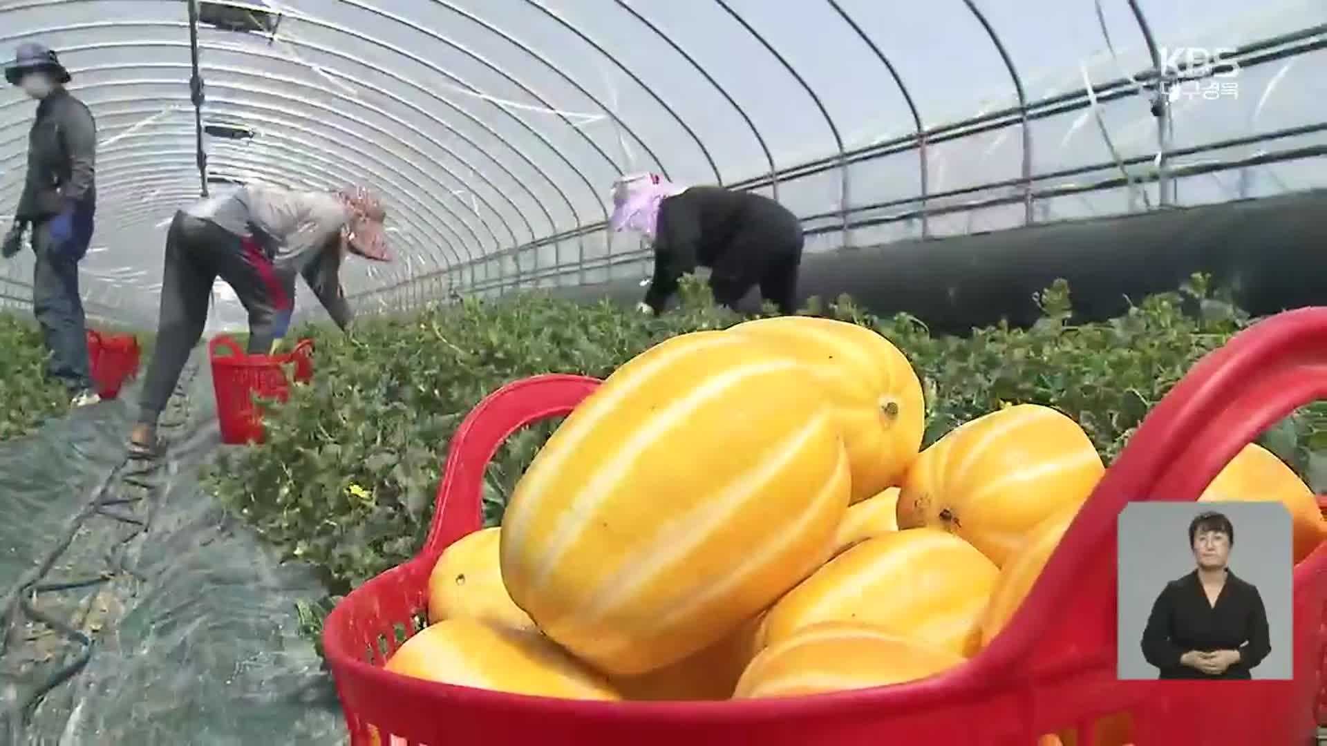 농촌 외국인 인력 지원 시군별 ‘온도차’