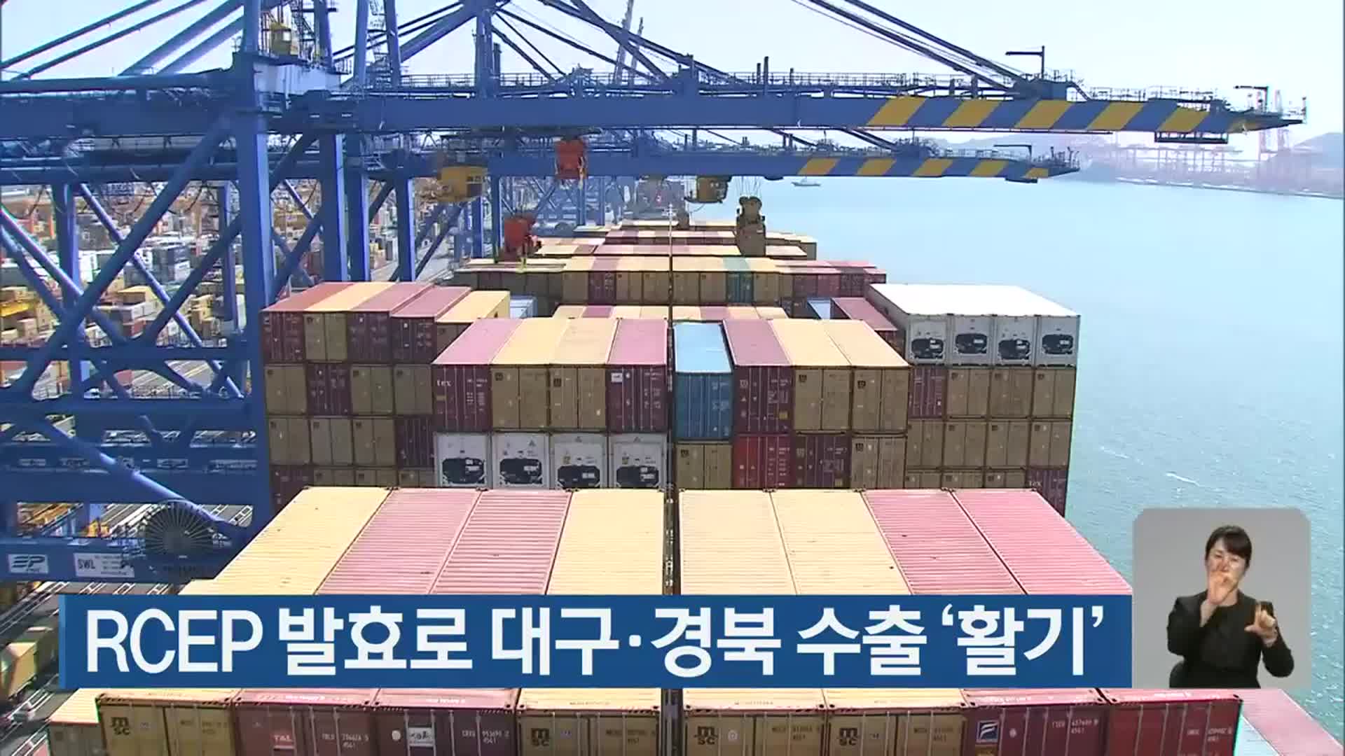 RCEP 발효로 대구·경북 수출 ‘활기’
