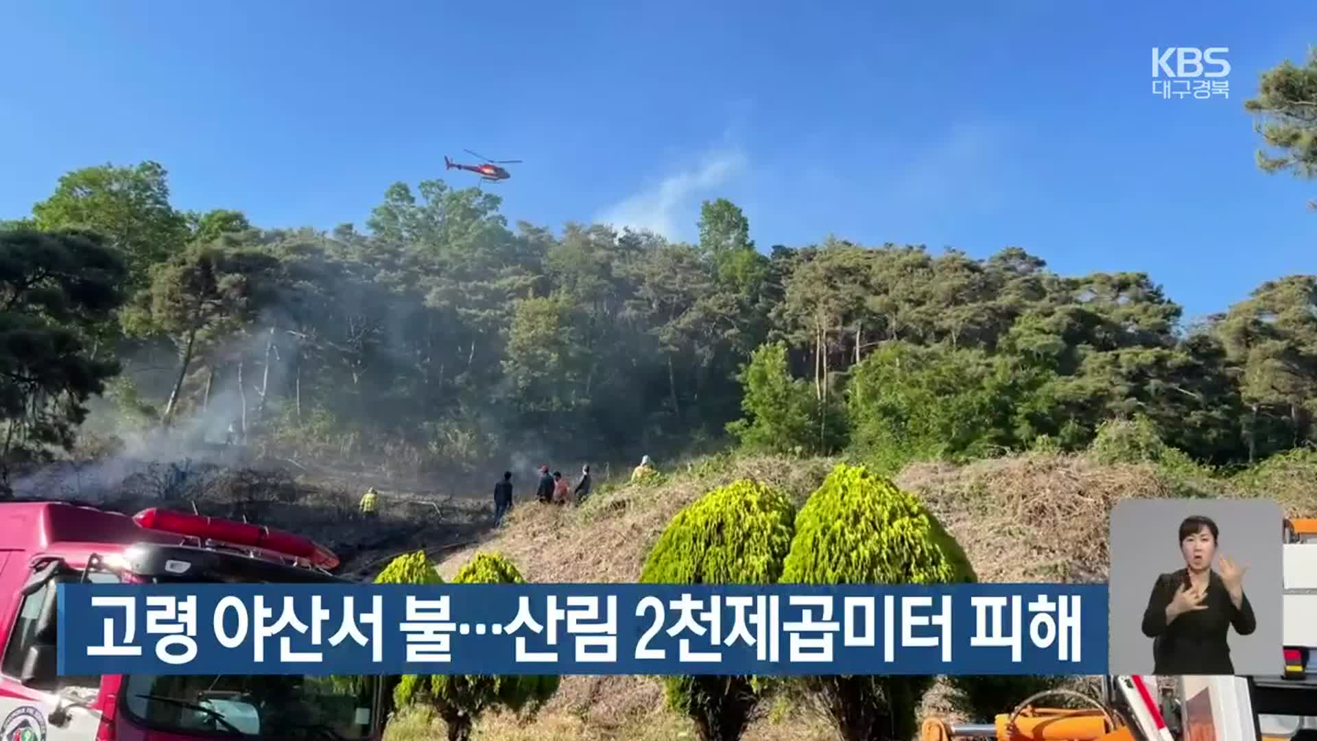 고령 야산서 불…산림 2천제곱미터 피해