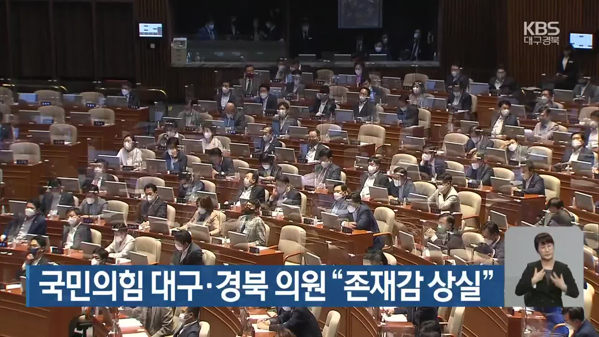 국민의힘 대구·경북 의원 “존재감 상실”