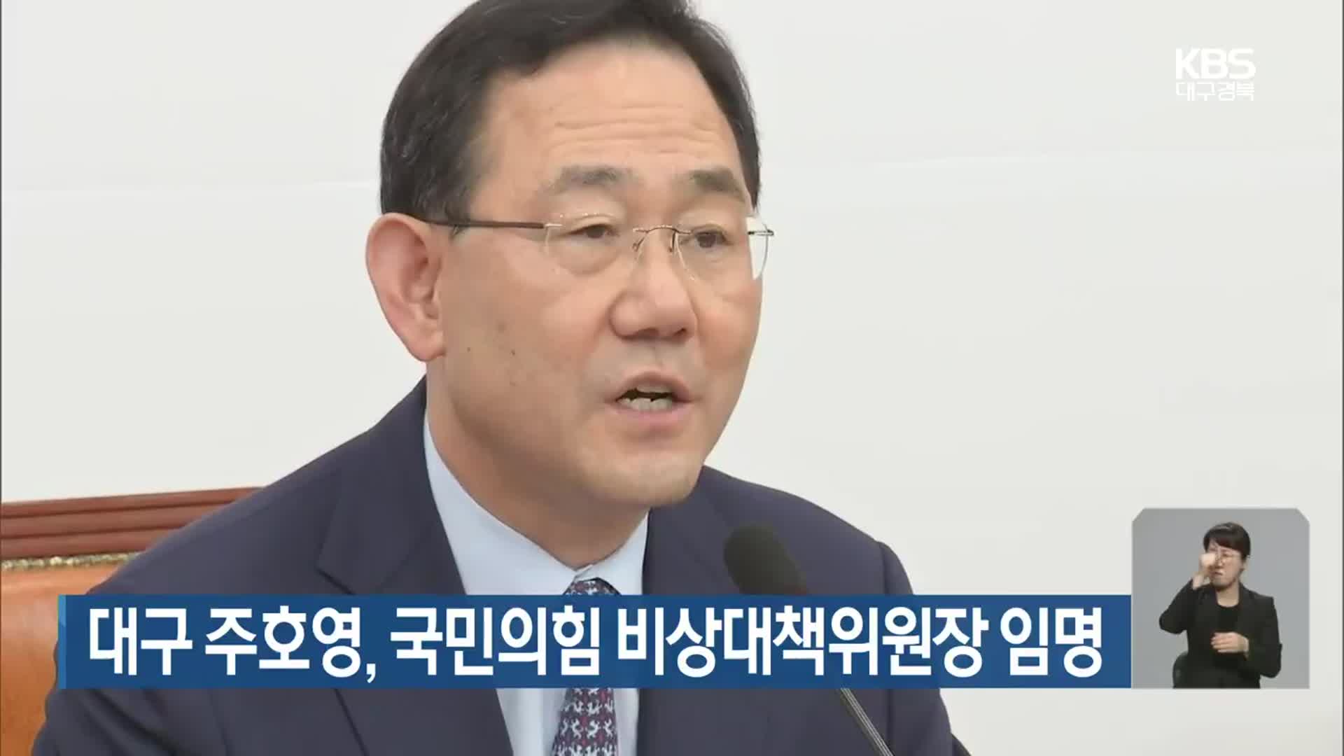 대구 주호영, 국민의힘 비상대책위원장 임명