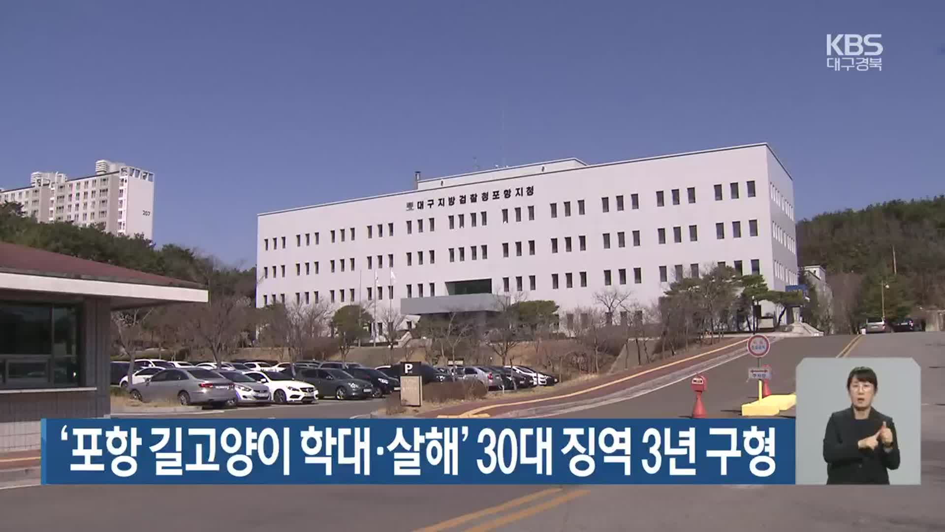 ‘포항 길고양이 학대·살해’ 30대 징역 3년 구형