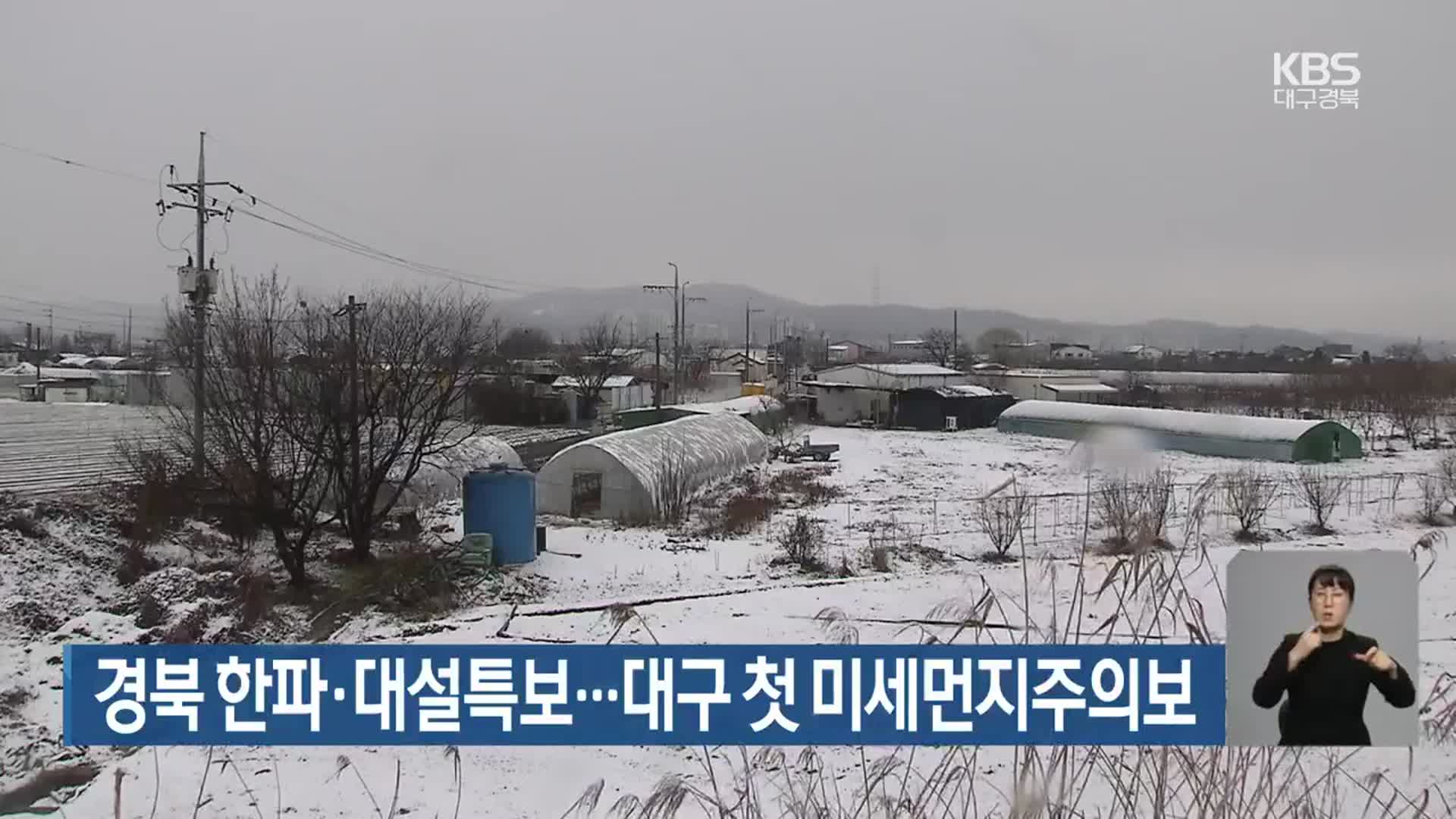 경북 한파·대설특보…대구 첫 미세먼지주의보