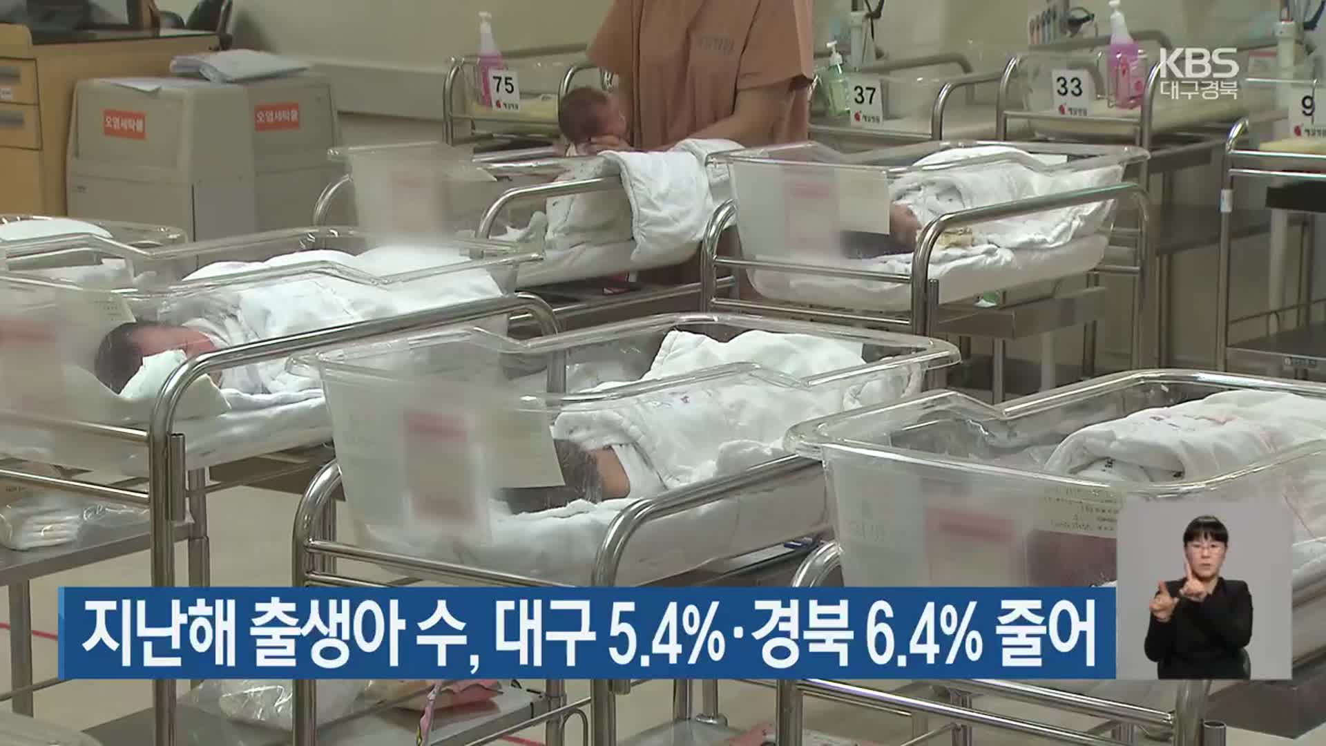 지난해 출생아 수, 대구 5.4%·경북 6.4% 줄어
