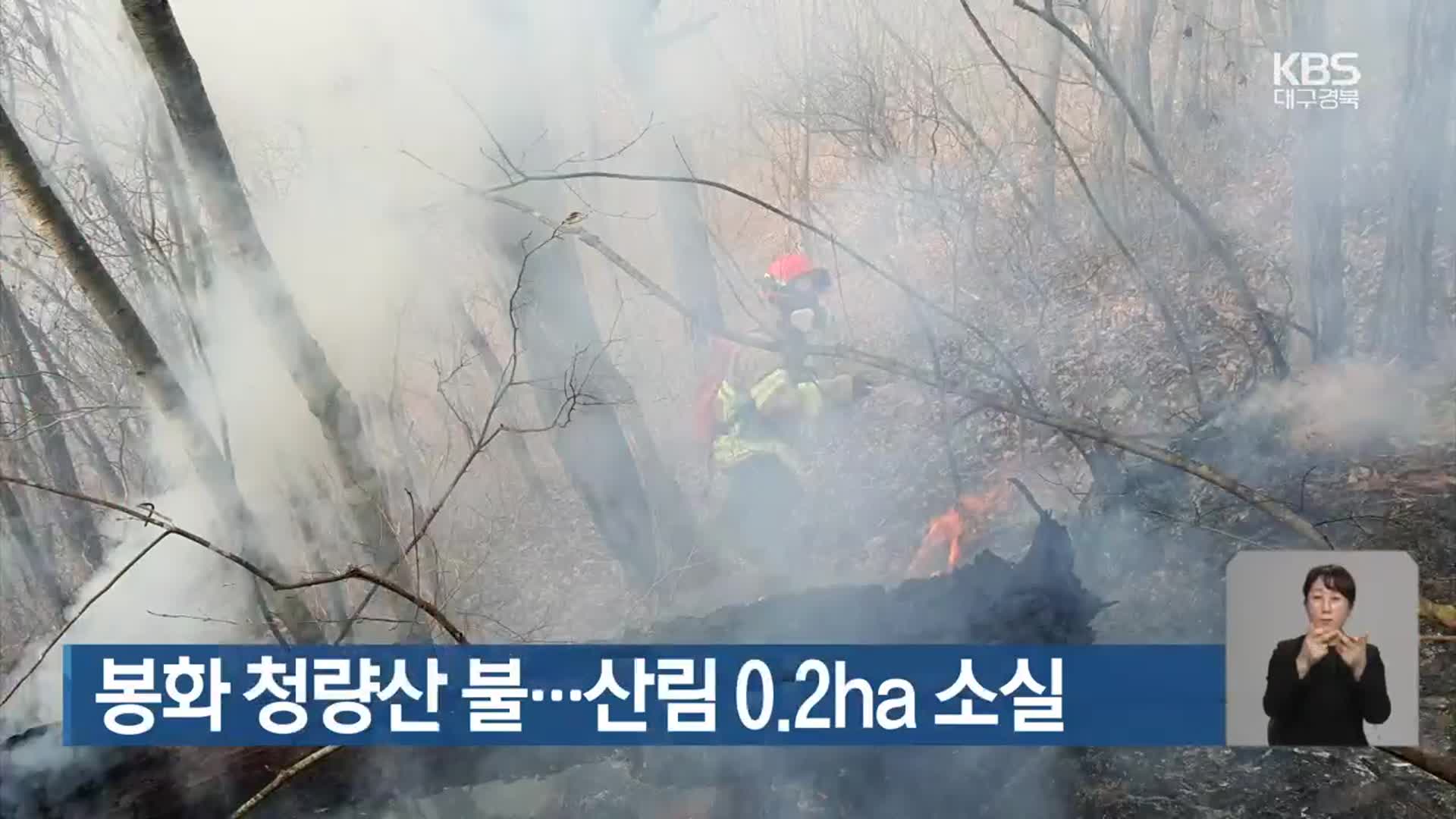 봉화 청량산 불…산림 0.2ha 소실